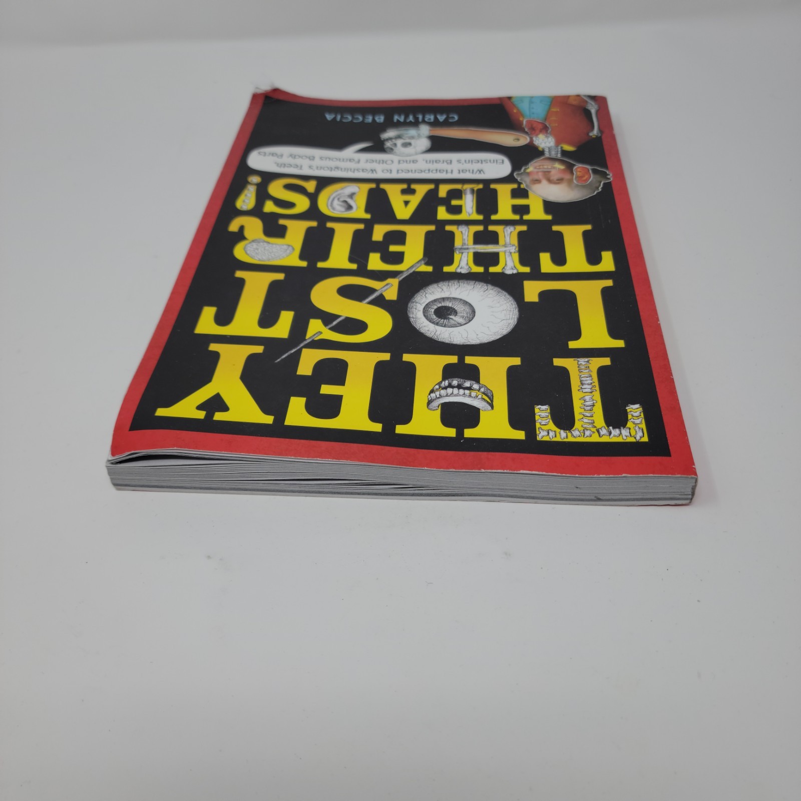 THEY LOST THEIR HEADS Book Carlyn Beccia 2018 Scholastic Paperback