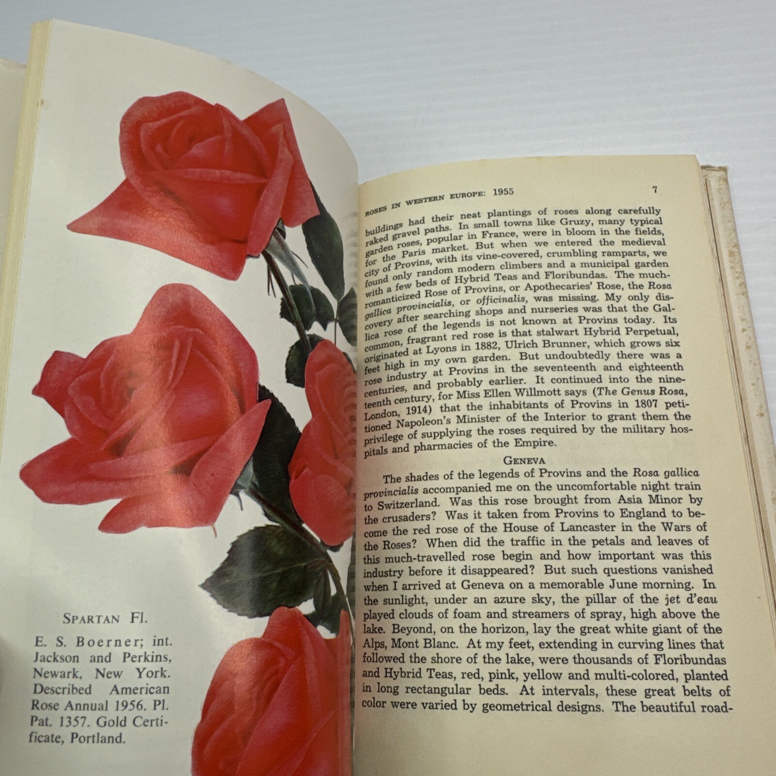 American Rose Annual 1956 Fred J Nisbet Beautiful Pictures Greenfield Printing