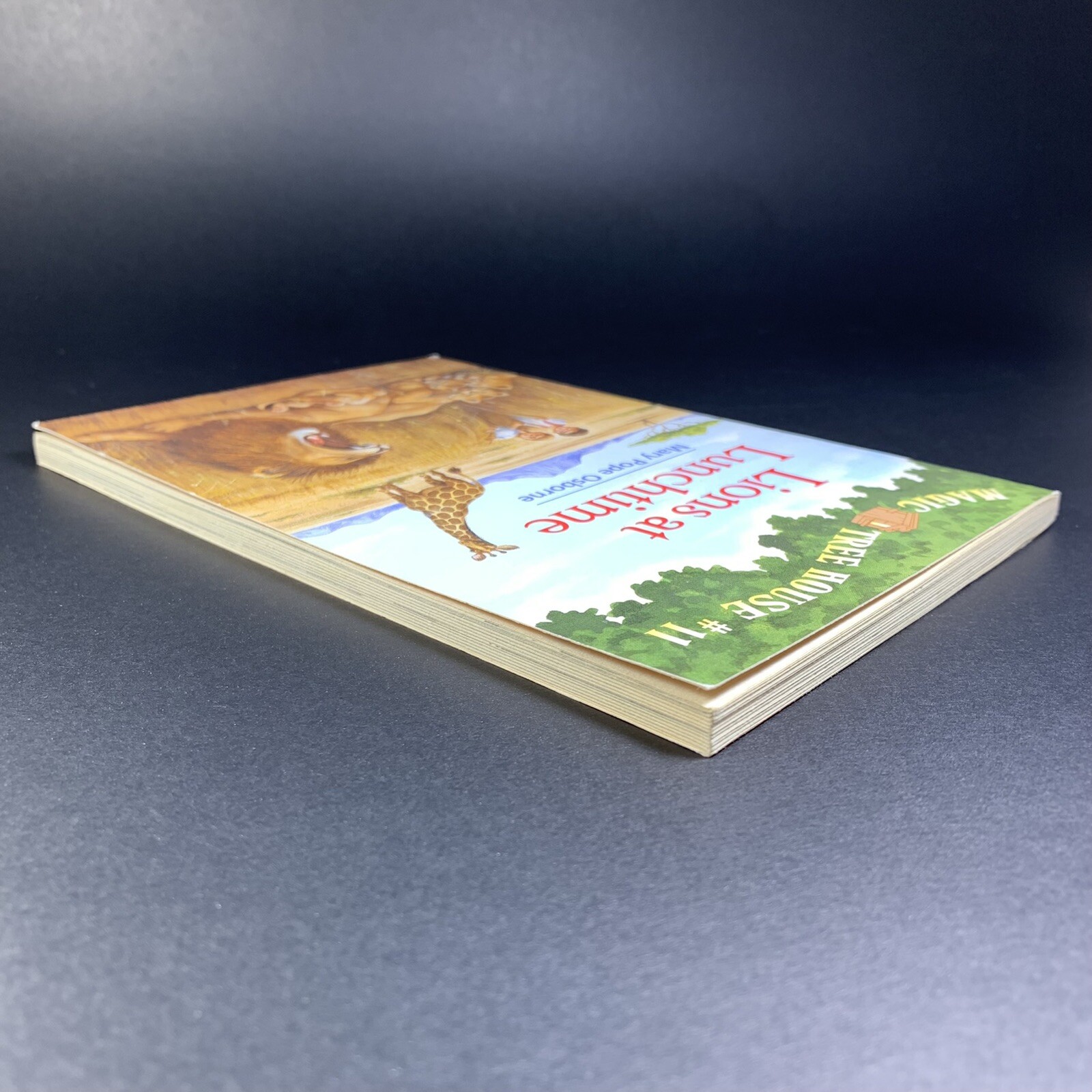 Lions At Lunchtime MAGIC TREE HOUSE #11 Mary Pope Osborne Scholastic 1998
