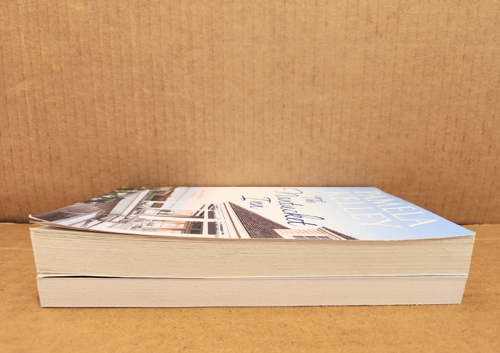 Beach Plum Cove Series 1 The Nantucket Inn 2 Nantucket Neighbors Pamela Kelley