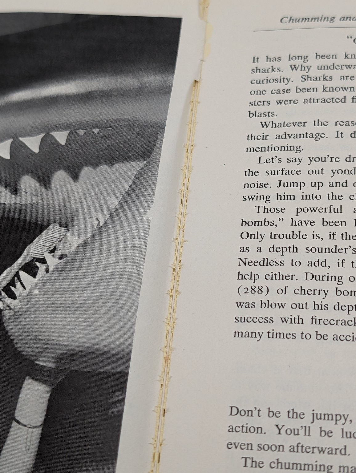 Sportfishing for Sharks Mundus Wisner 1976 Paperback Fishing Marine Life