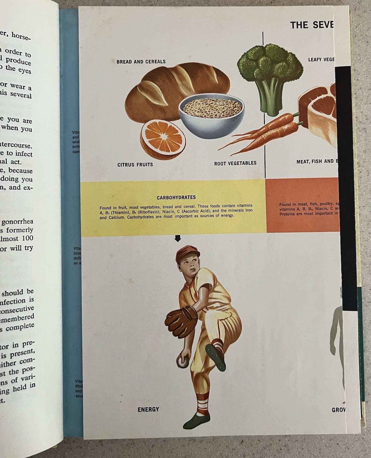 Vtg 1964 The New Illustrated Medical & Health Encyclopedia 1-14 Complete Set HB