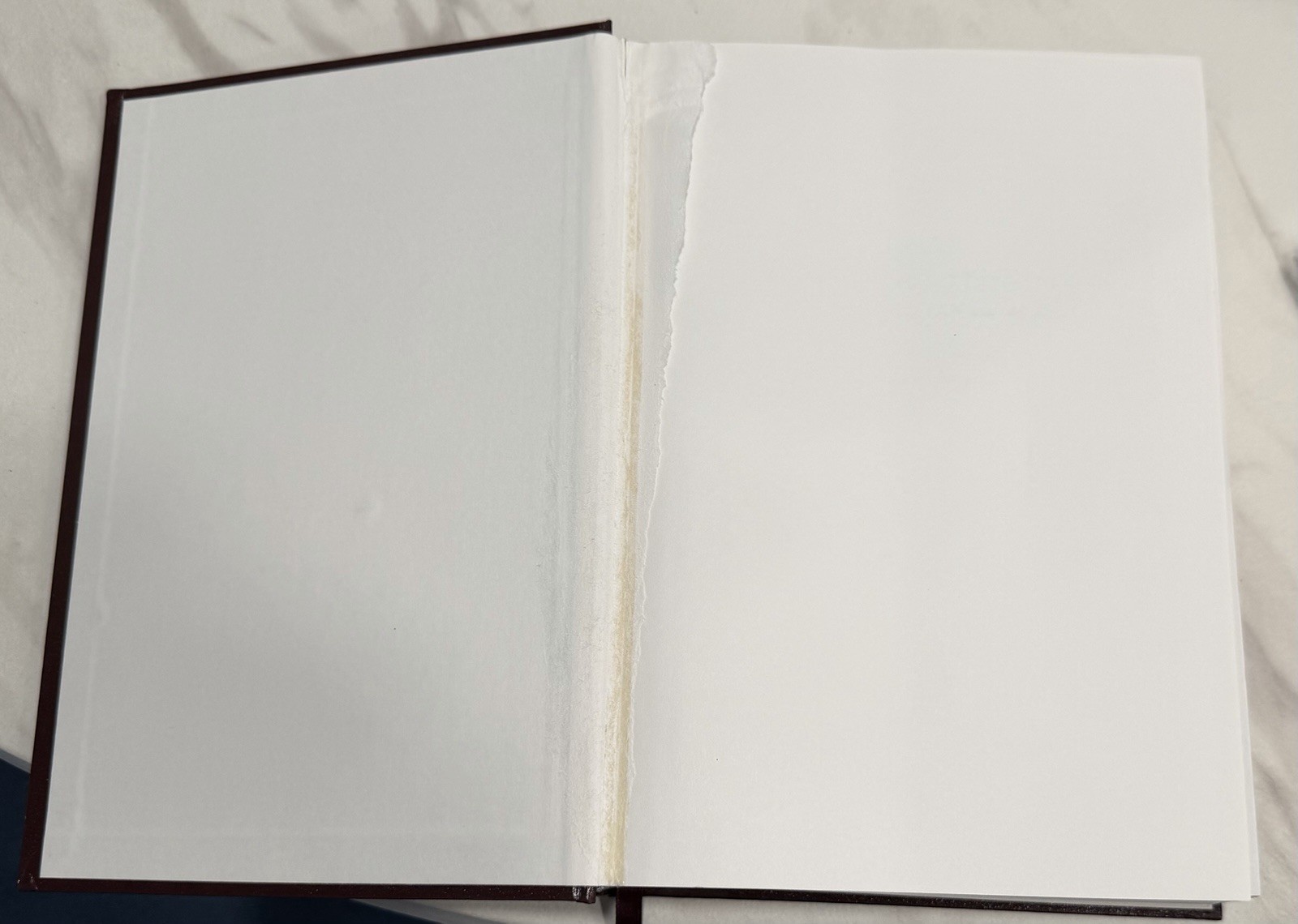 Joyce Meyer The Everyday Life Bible Amplified Version Leather Bound 2009
