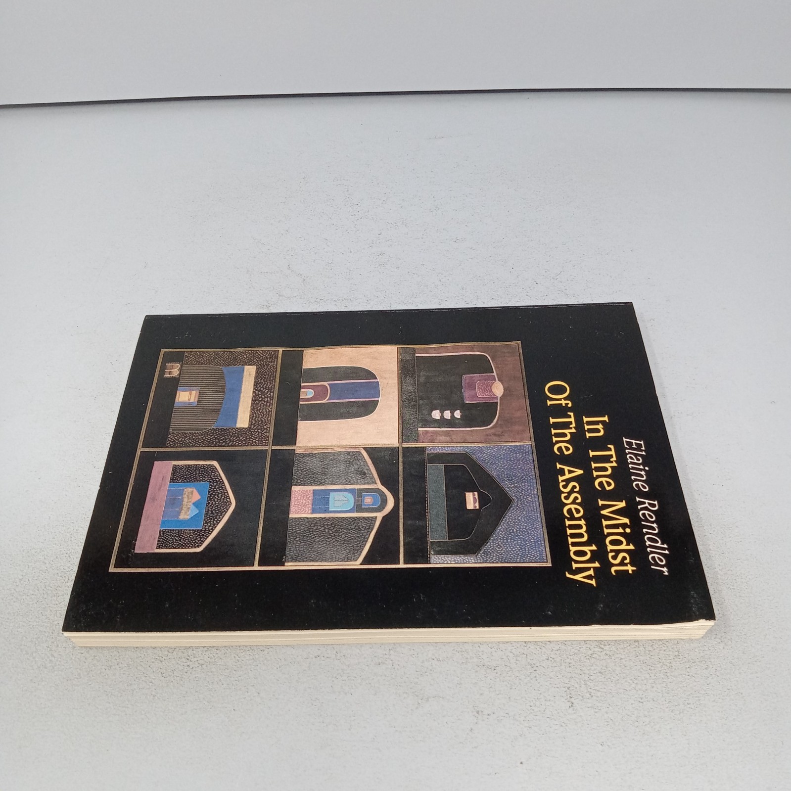 In the Midst of the Assembly: 1994 OCP Publications Paperback by Elaine Rendler