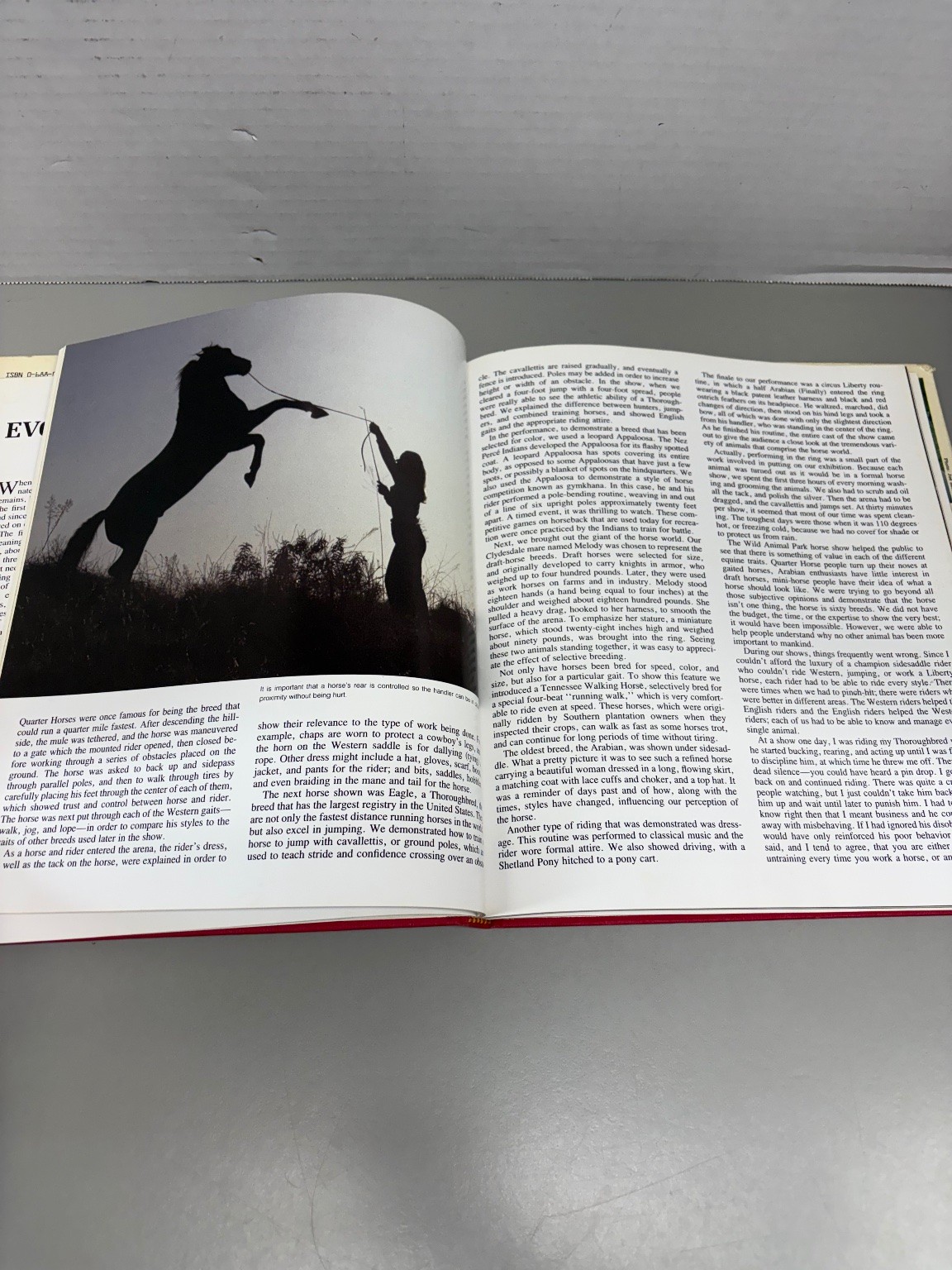On Horses Joan Embery Robert Vavra 1984 First Edition Illustrated Equestrian