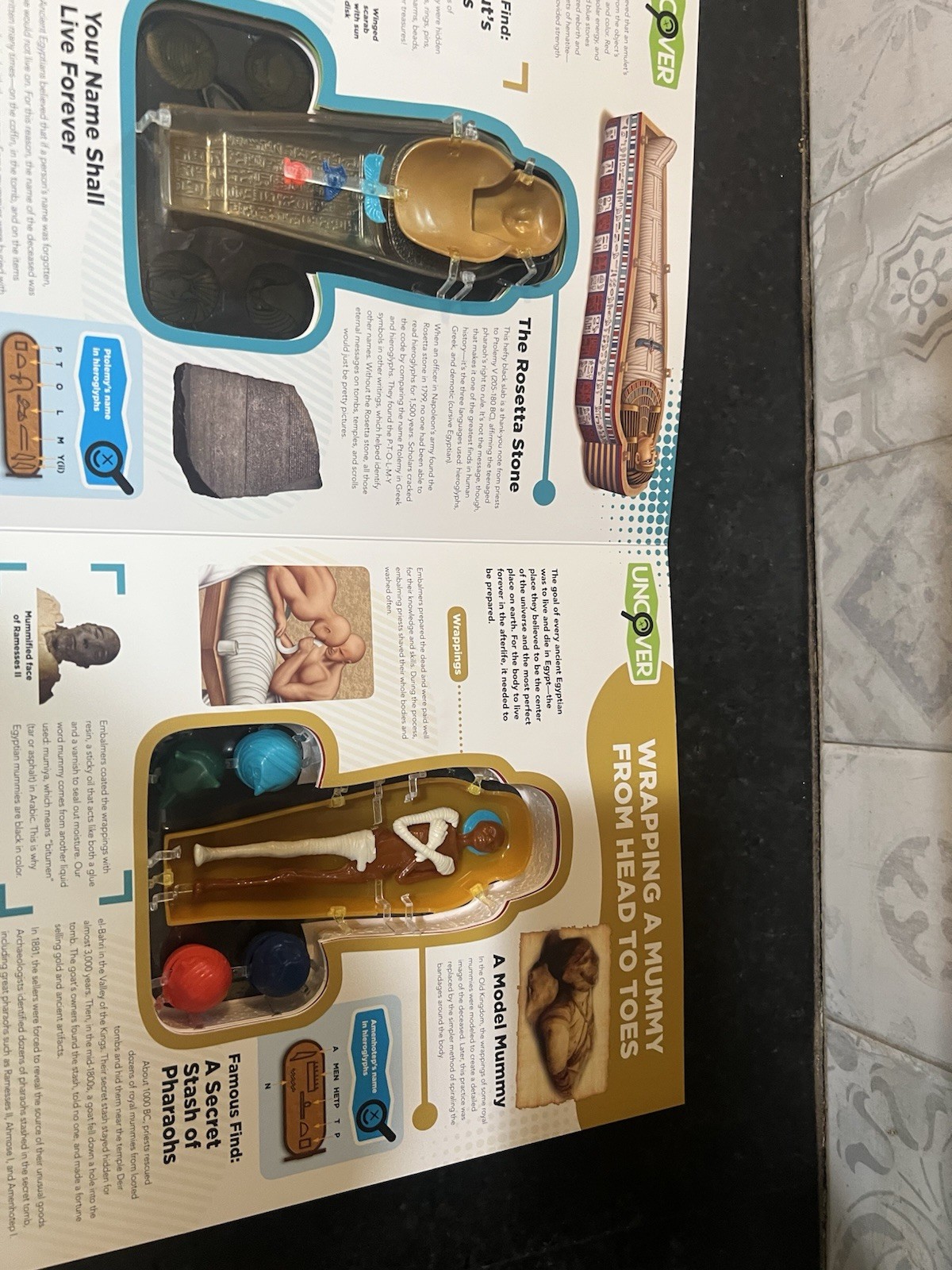 Uncover an Egyptian Mummy ,Large Book 12”