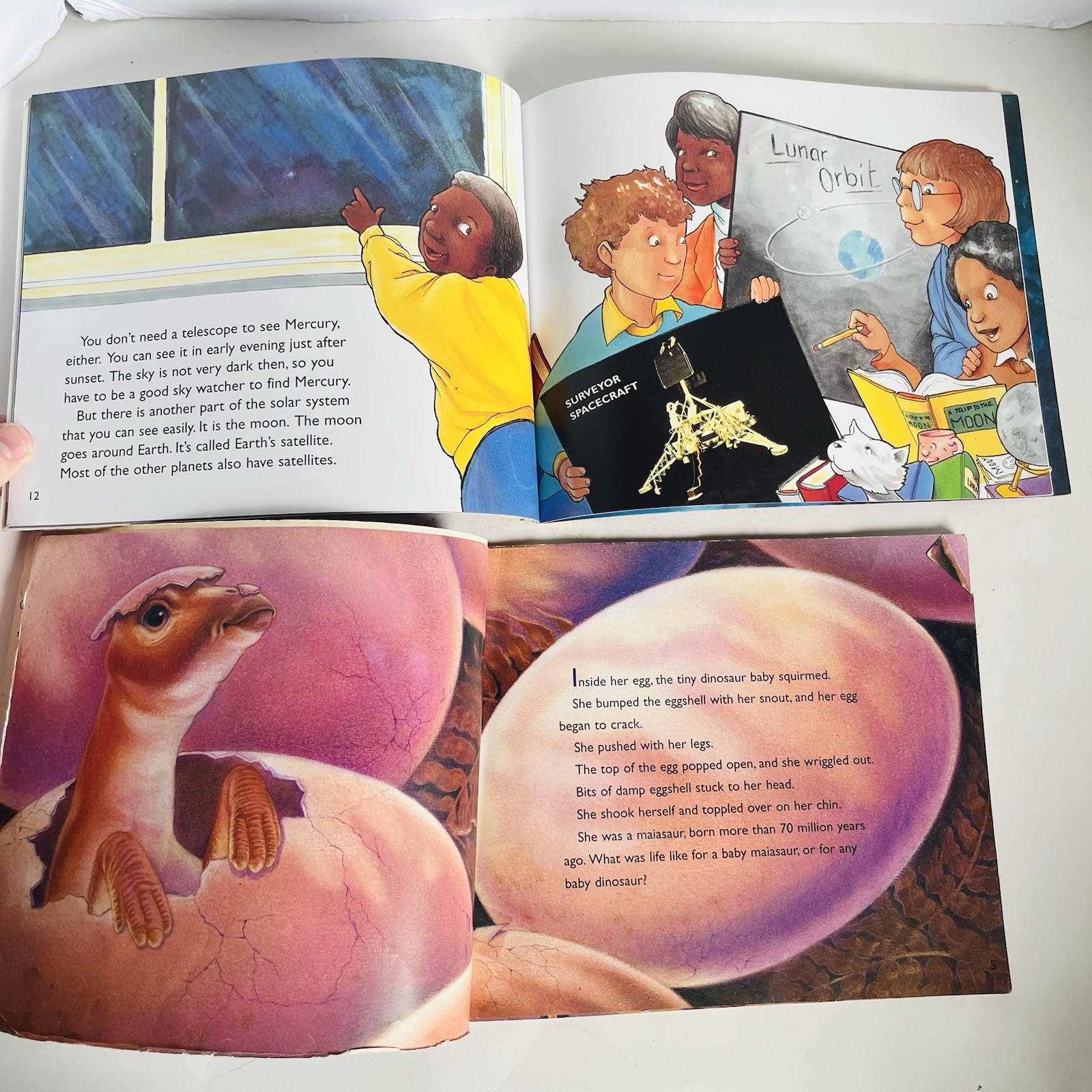 Lets Read and Find Out Science Book Lot 12 Hamburger Skeleton Planets Dinosaur P