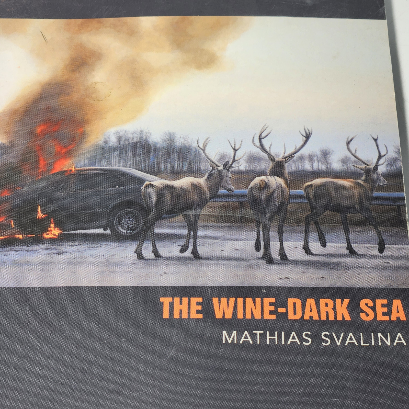 THE WINE-DARK SEA By Mathias Svalina Paperback 2016 Sidebrow Books 1st Ed 1st Pr