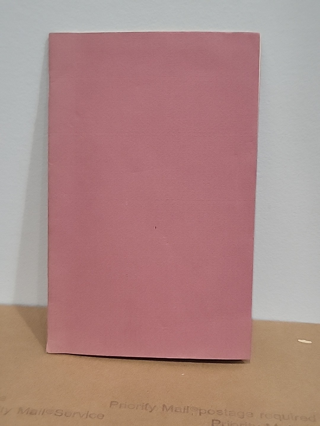 The Devil In The River and Other Poems by John Grey 1990 Night Visions Borkowski