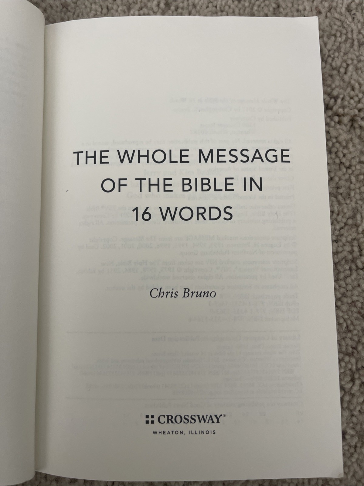 Whole Message of the Bible in 16 Words by Chris Bruno (2017, Trade Paperback)