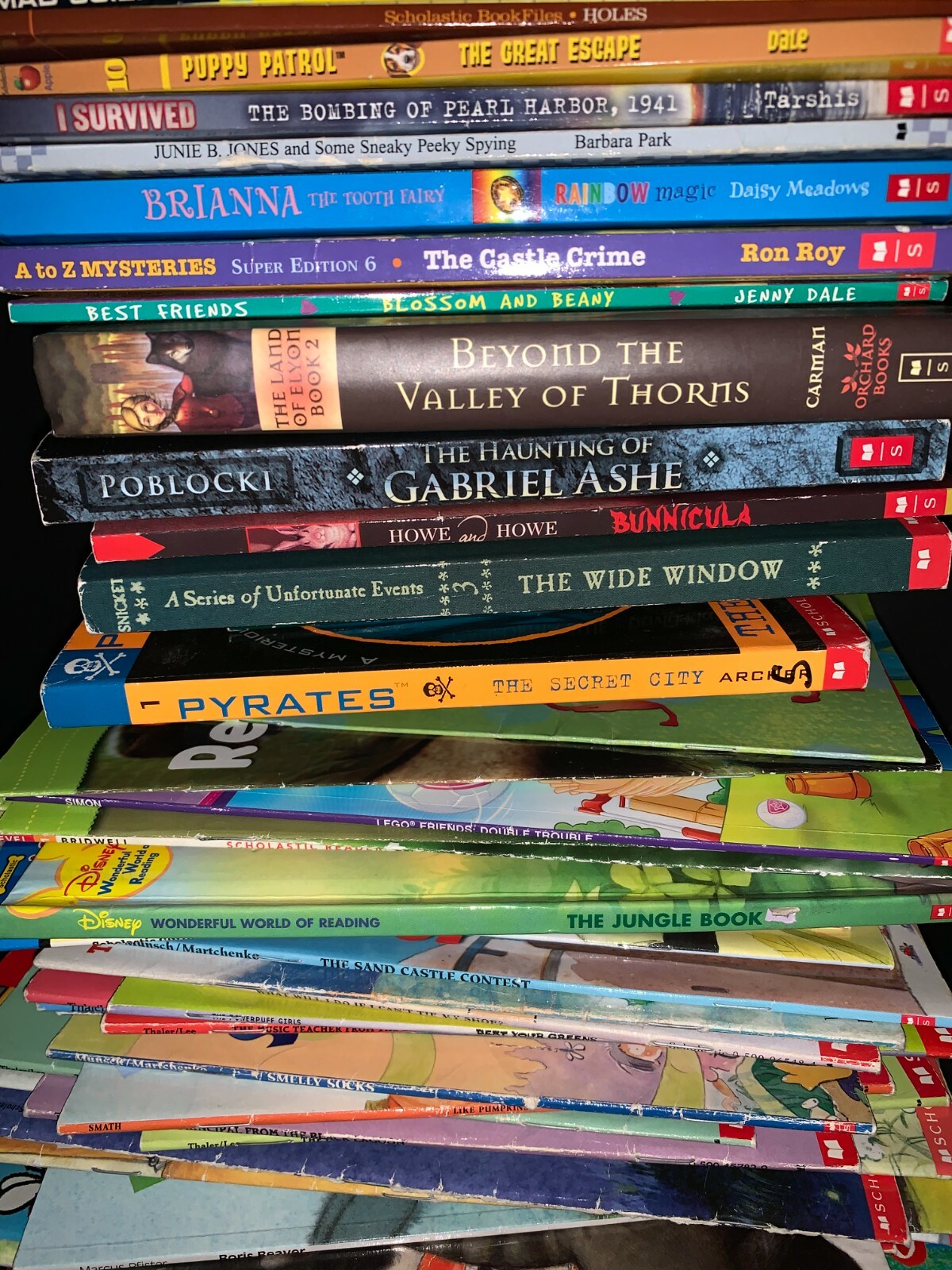 Lot Of 75 Scholastic Children’s Books Kids Mixed Boy Girl Homeschool