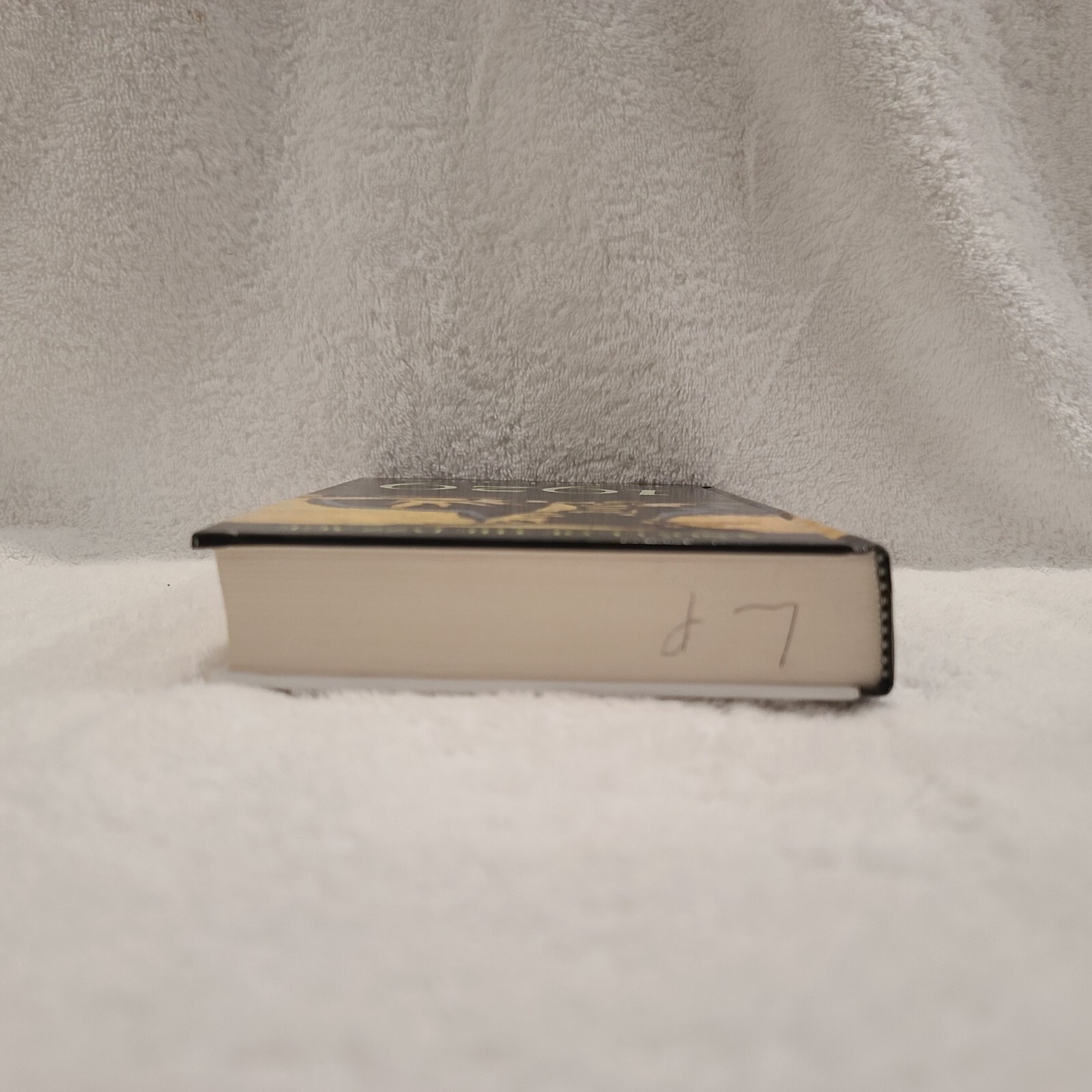 1929 : A Novel of the Jazz Age *** Large Print*** Hardcover Frederick Turner