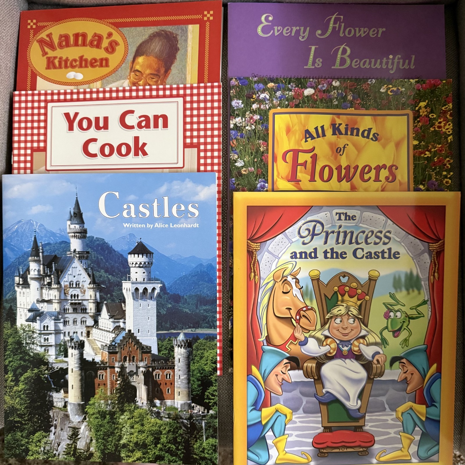 Steck Vaughn Transition Stage Classroom 2-3 Kit Teacher Guide 20 Books