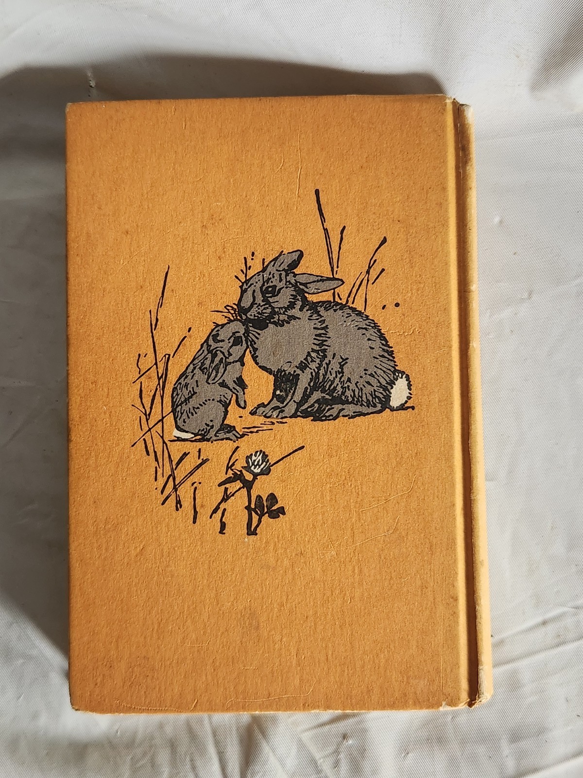 Wild Animals I Have Known Ernest Thompson Seton Hardcover Looking Glass Library