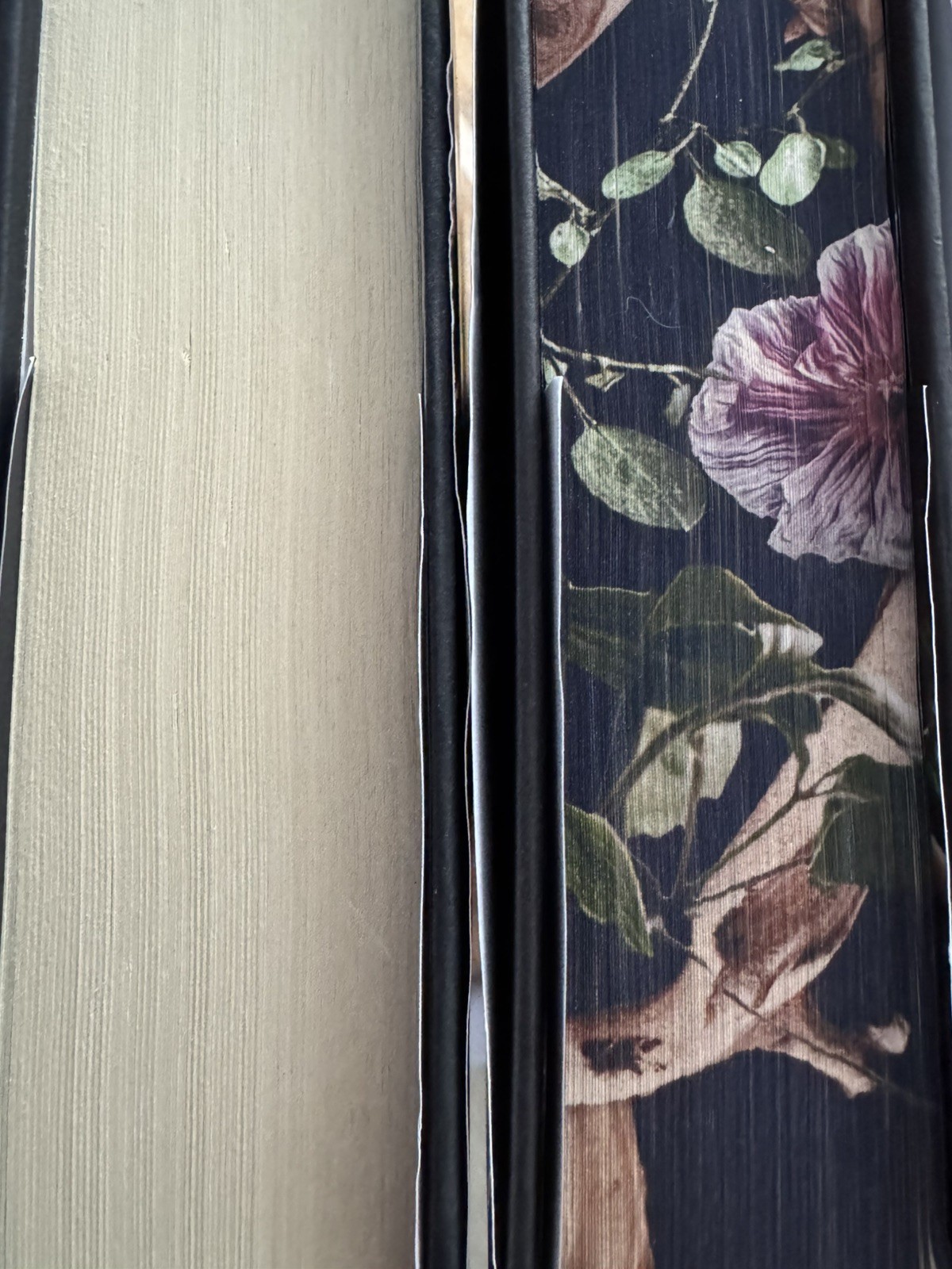 Shield of Sparrows Hardcover Rites of The Starling Hard Cover Book Set Lot of 2