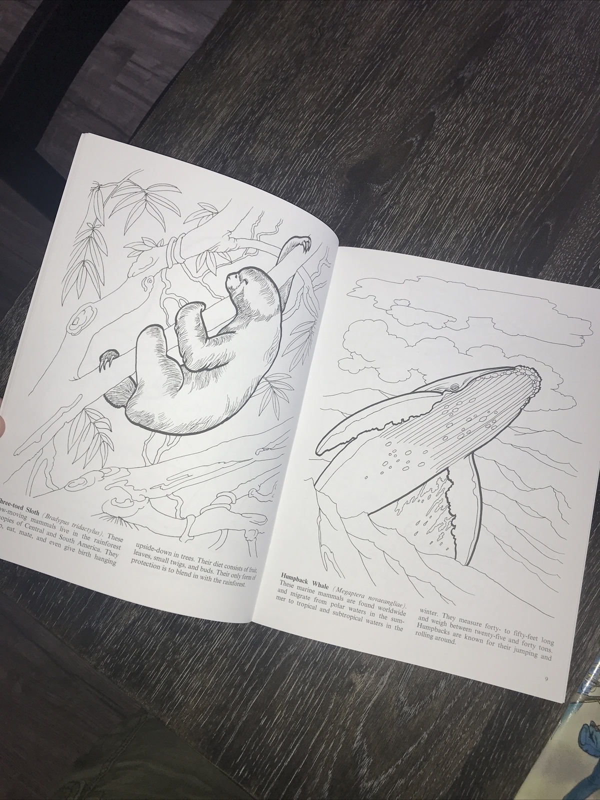 3 NEW DOVER COLORING BOOKS Days Of The Dinosaur, Endangered Animals & Civil War