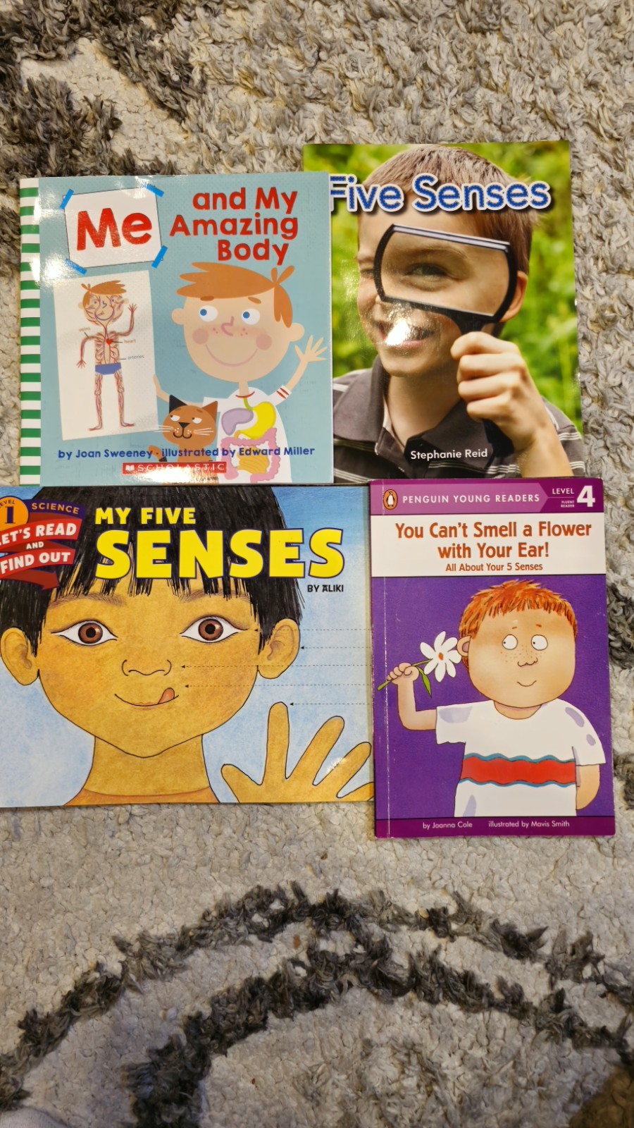 Lot of 4 Scholastic Illustrated Paperback Picture Books Five Senses & Body