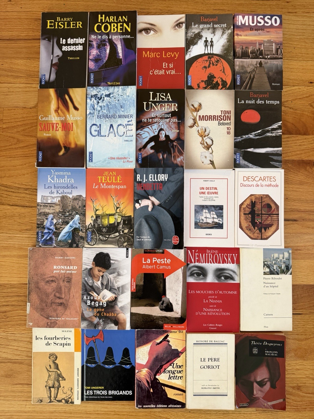 Lot of 25 French Pocket Paperback Books Morrison Ellory Barjavel Descartes Camus