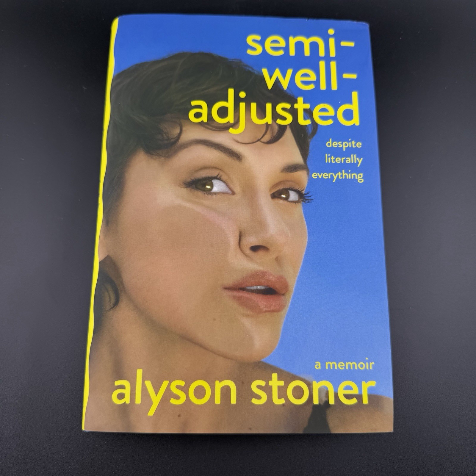 Semi-Well-Adjusted Despite Literally Everything 1st Edition Hardcover Stoner