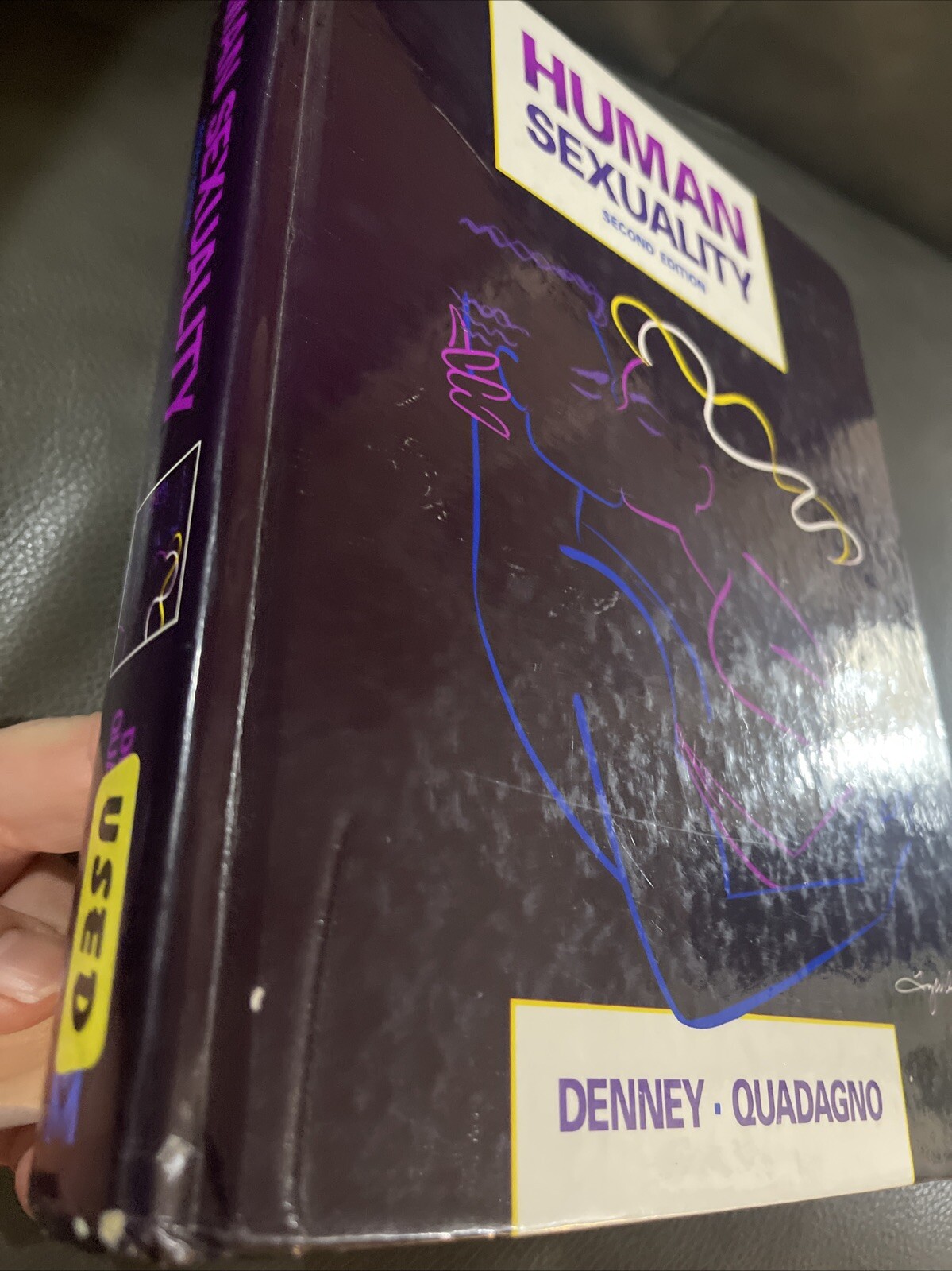 Human Sexuality Textbook 2nd Edition Denney Quadagno