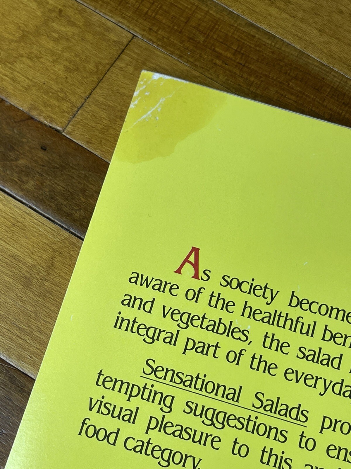 300 Sensational Salads by Lucinda Hollace Berry 1982 Paperback Newpaper Pamphlet
