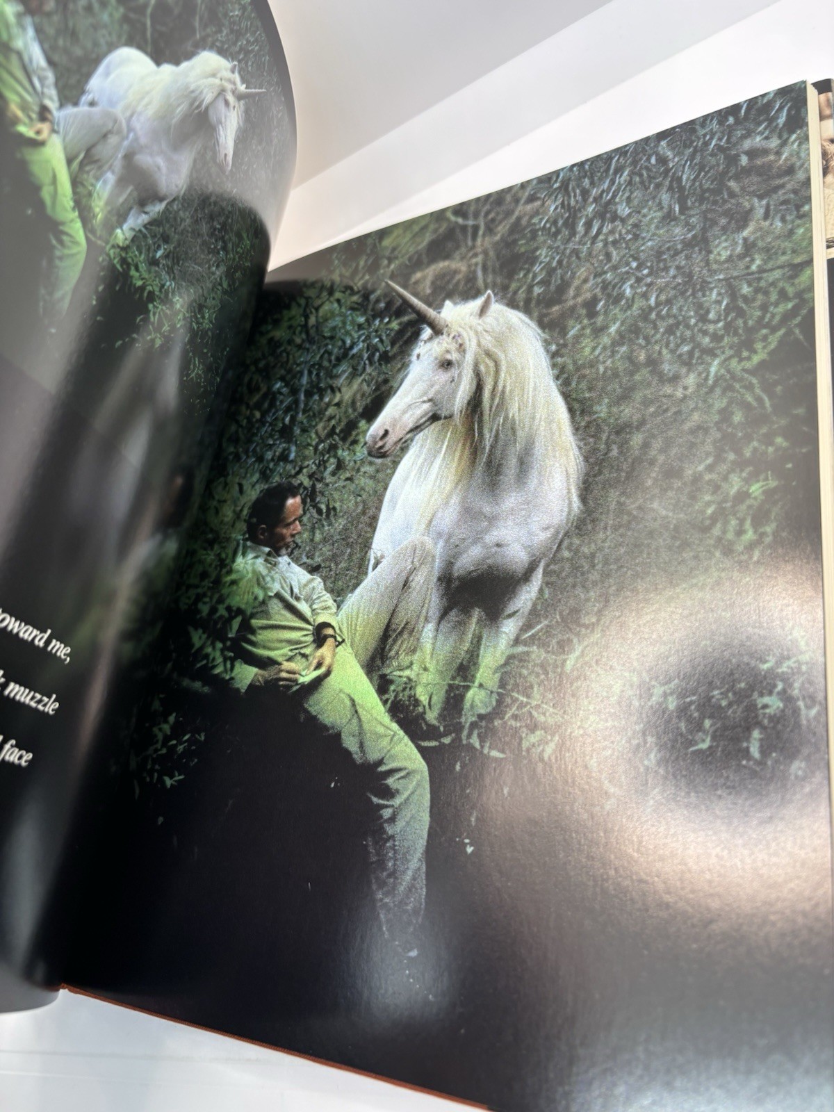 The Unicorn of Kilimanjaro | Robert Vavra | 1988 1st Ed Hardcover #LikeNew