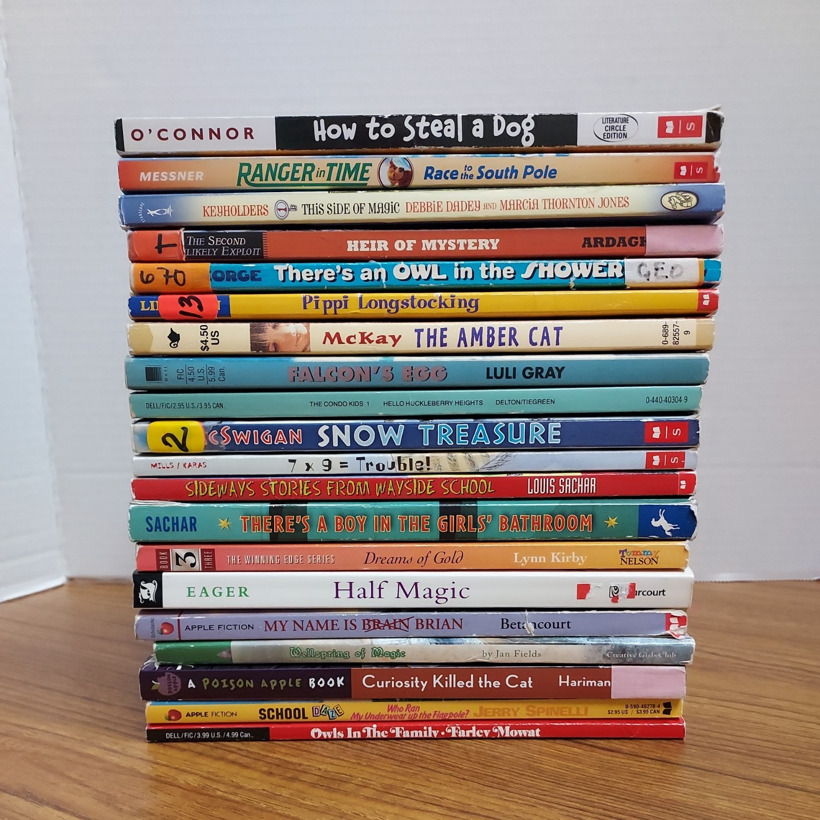 Lot of 20 Chapter Books for 4th Grade Boys & Girls Classroom RL4, AR