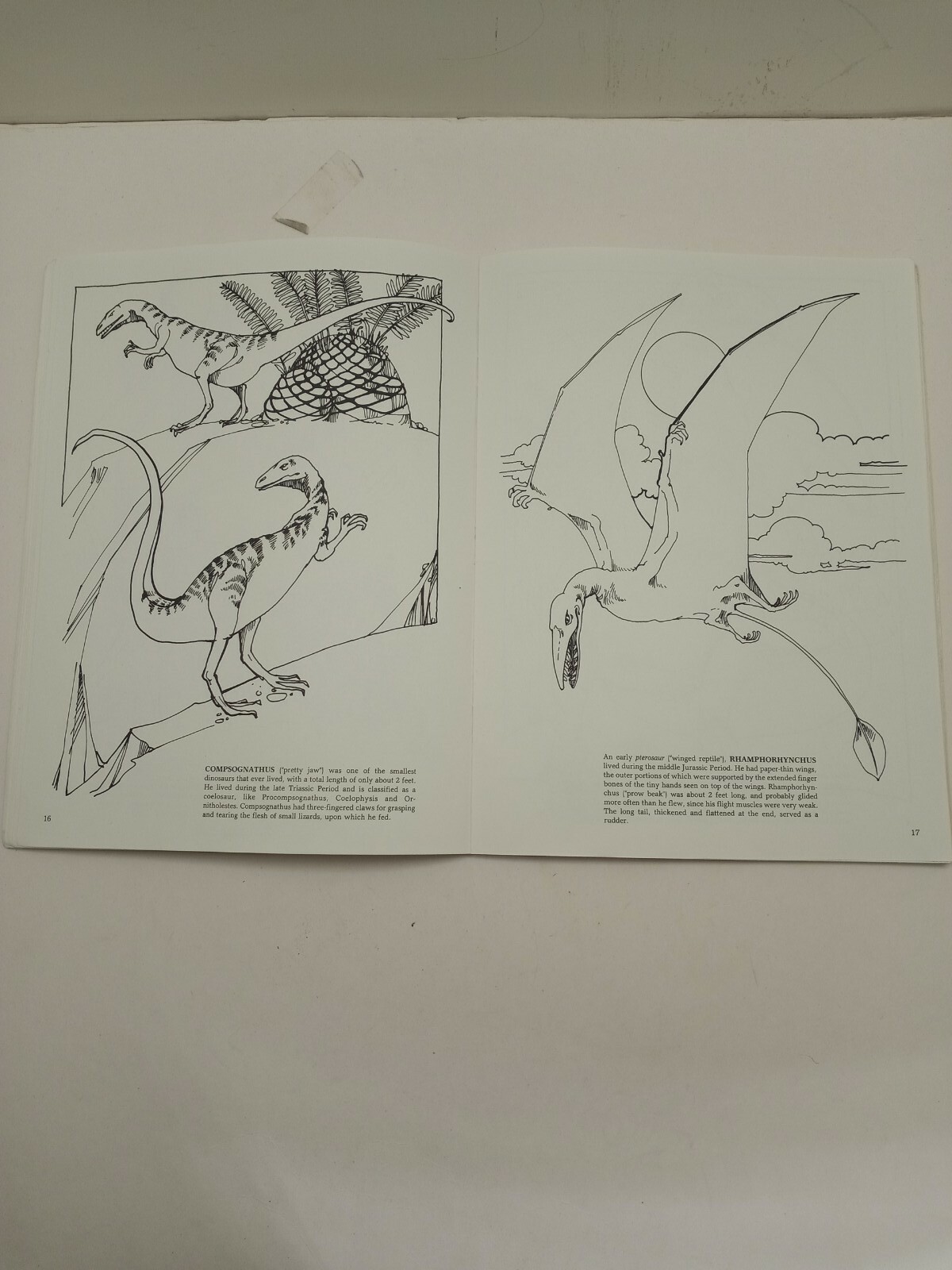 Vintage The Dinosaur Coloring Book by Anthony Rao Dover Publishing 46 Pgs 1980.