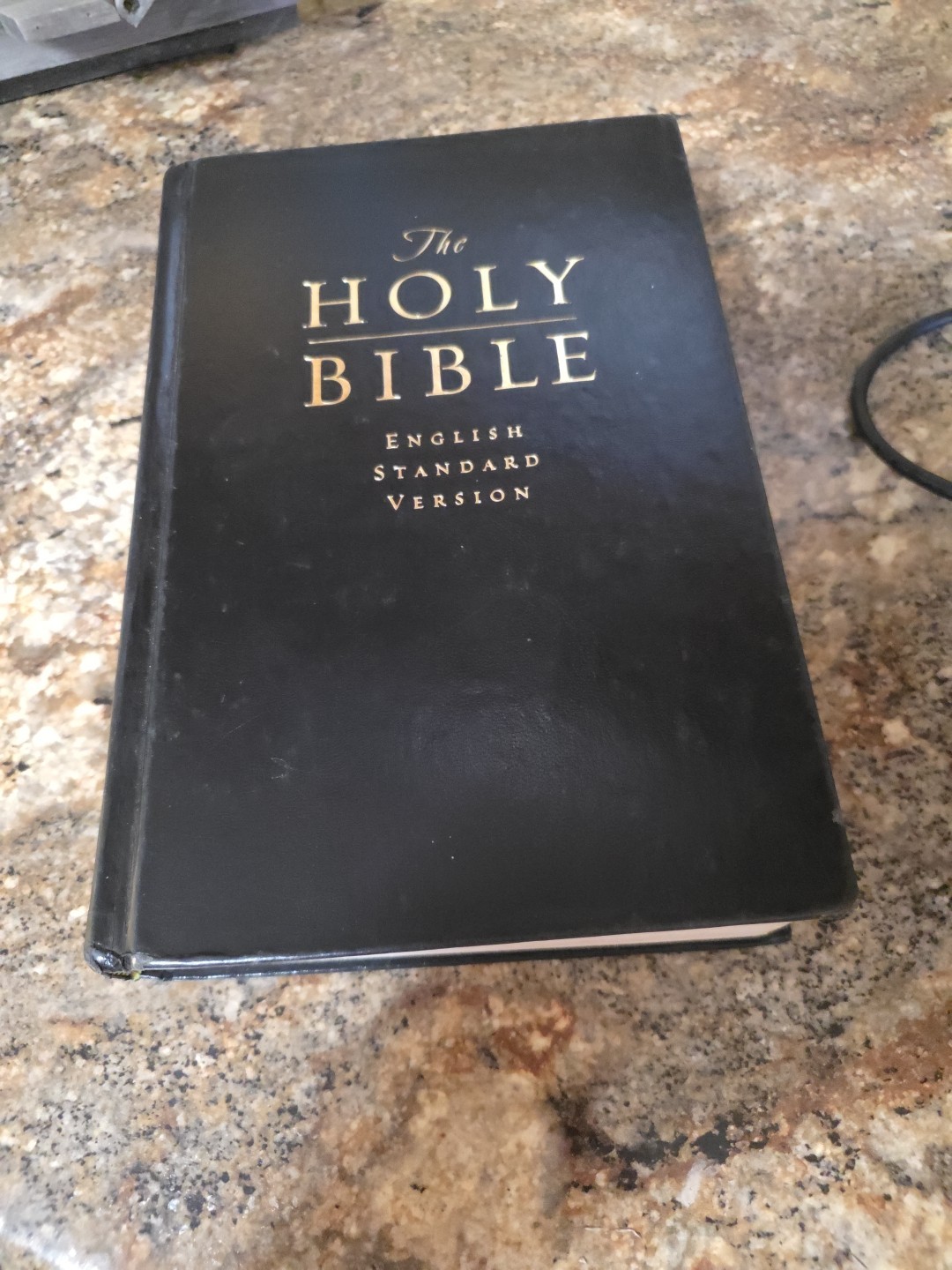 The Holy Bible English Standard Version-Crossway–2001