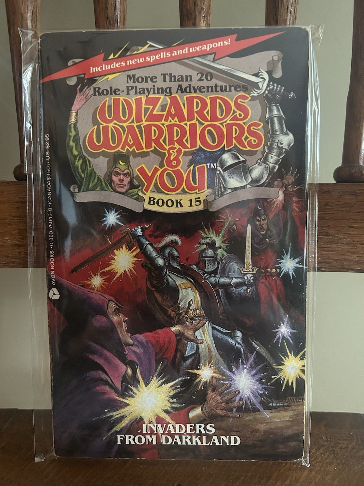 Wizards Warriors and You Book #15: Invaders From Darkland (1986)