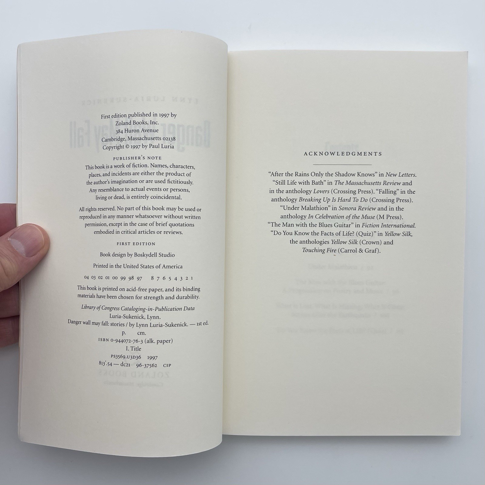 Danger Wall May Fall — Lynn Luria-Sukenick | Literary Short Stories