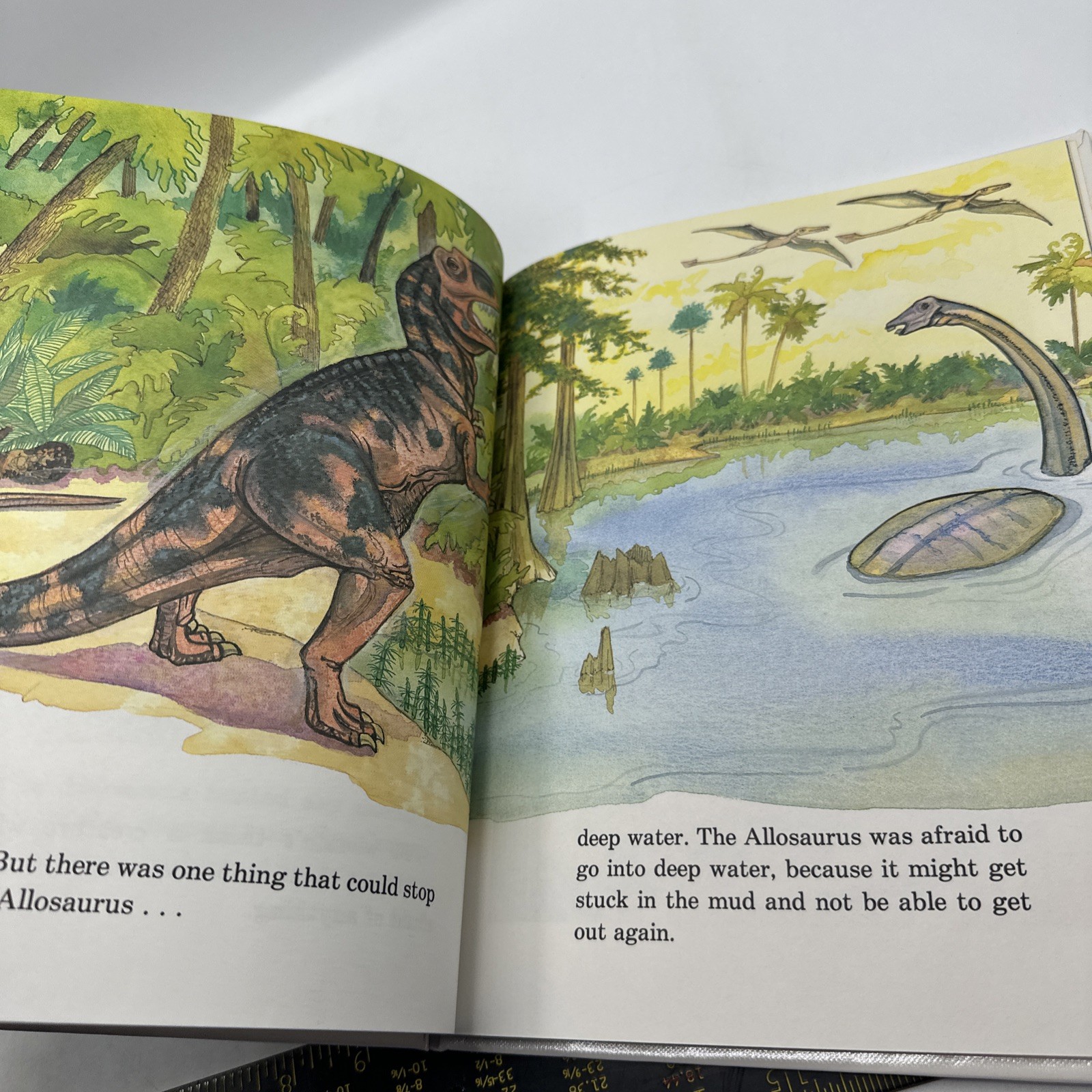 Dinosaur Hardcover Books 1991 Janet Riehecky The Child’s World Series 18 Books