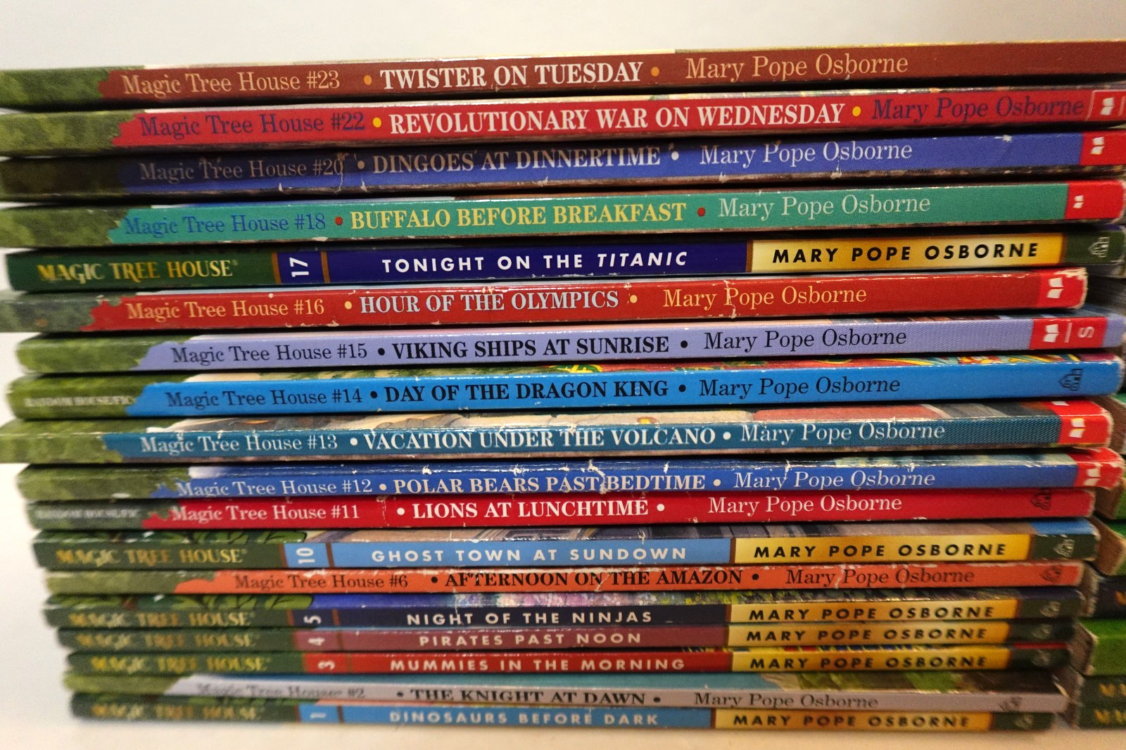 Magic Tree House book collection (kid’s paperback book series)