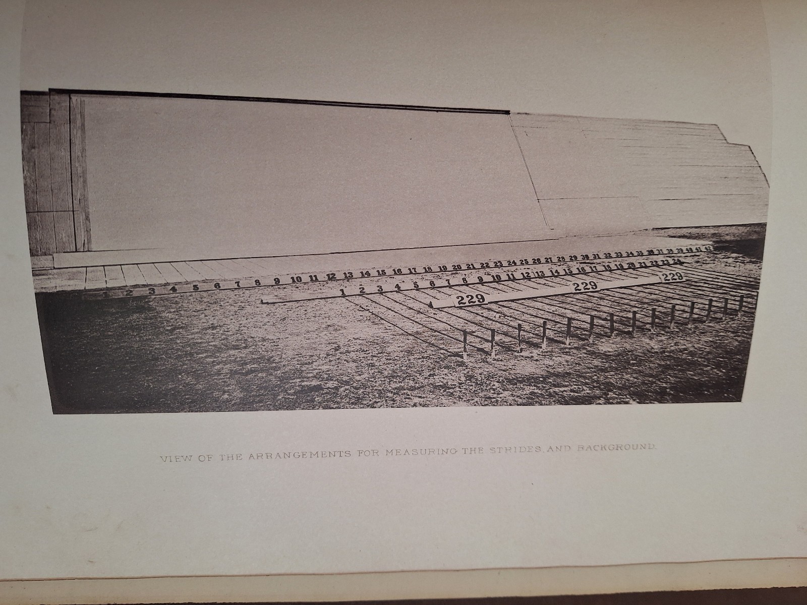 RARE c 1882 THE HORSE IN MOTION by J.D.B. Stillman Photos By Eadweard Muybridge