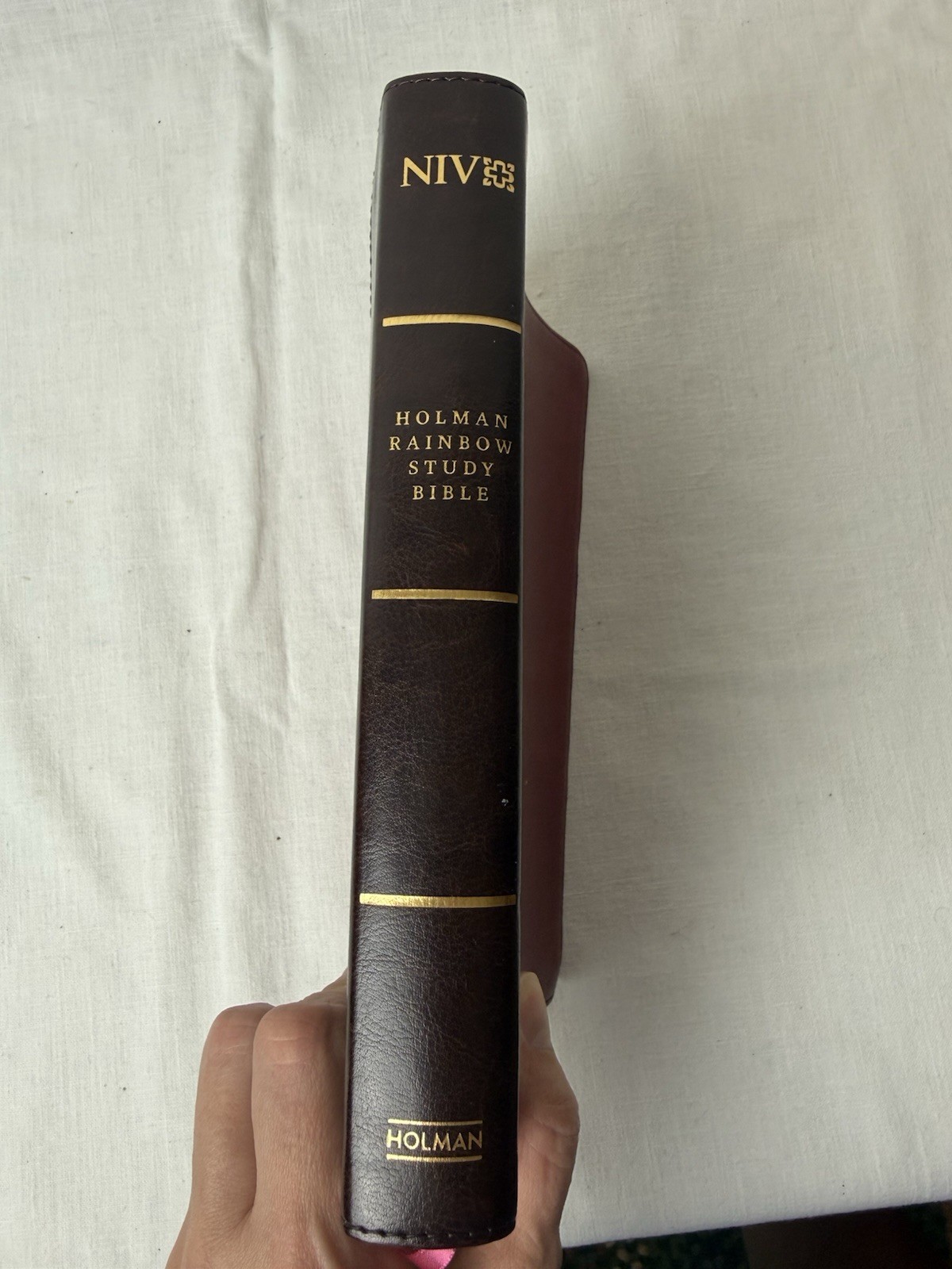 Holman Rainbow Study Bible NIV Holy Scriptures New International Version Leather