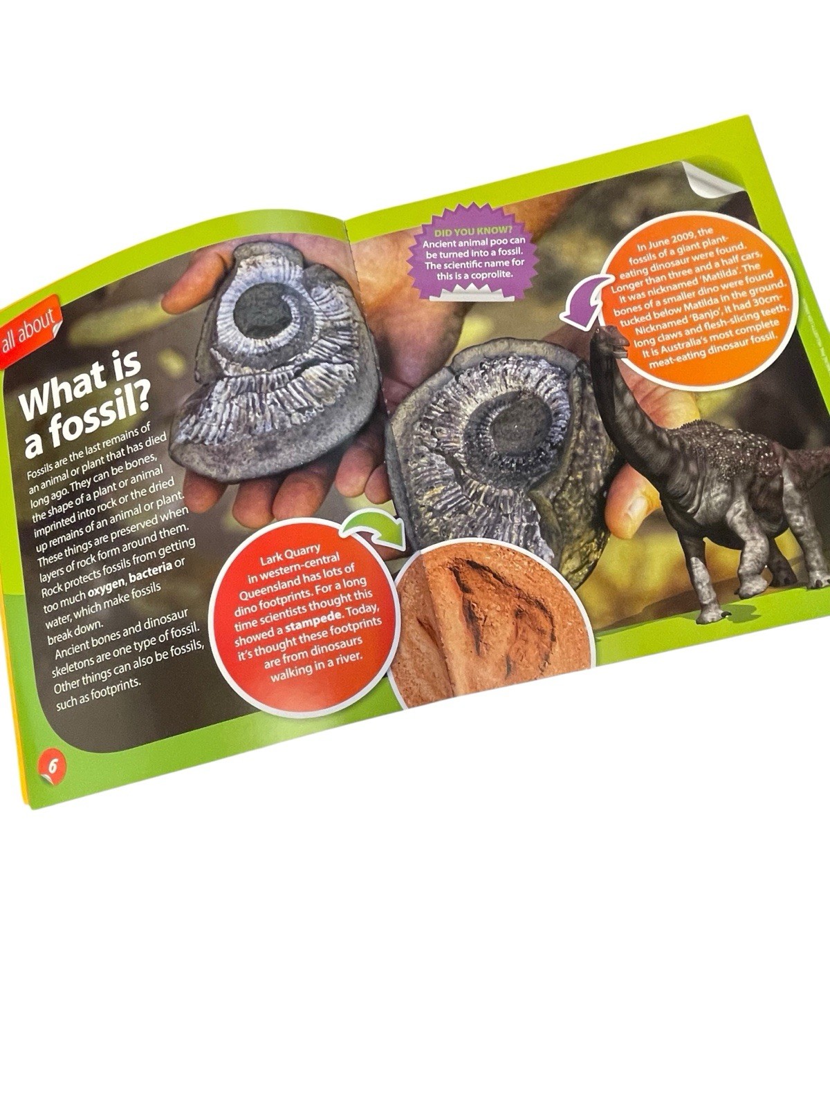 All About Australia Rocks and Fossils Australian Geographic 35 Pages Paperback