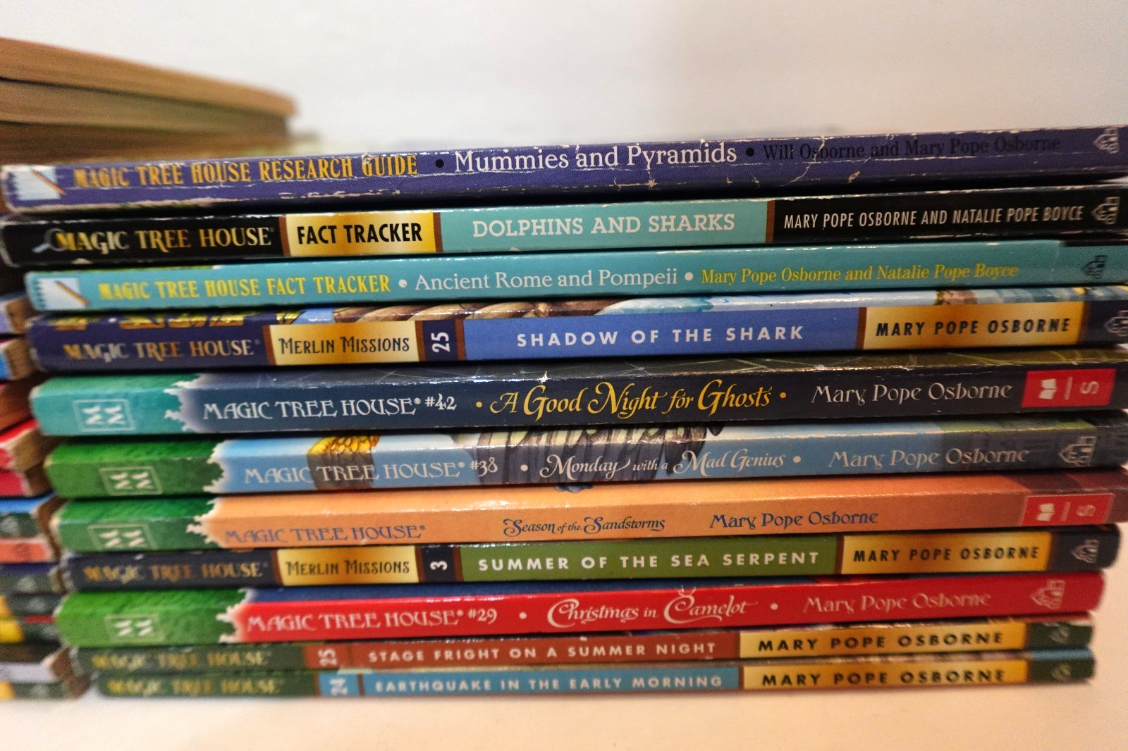 Magic Tree House book collection (kid’s paperback book series)