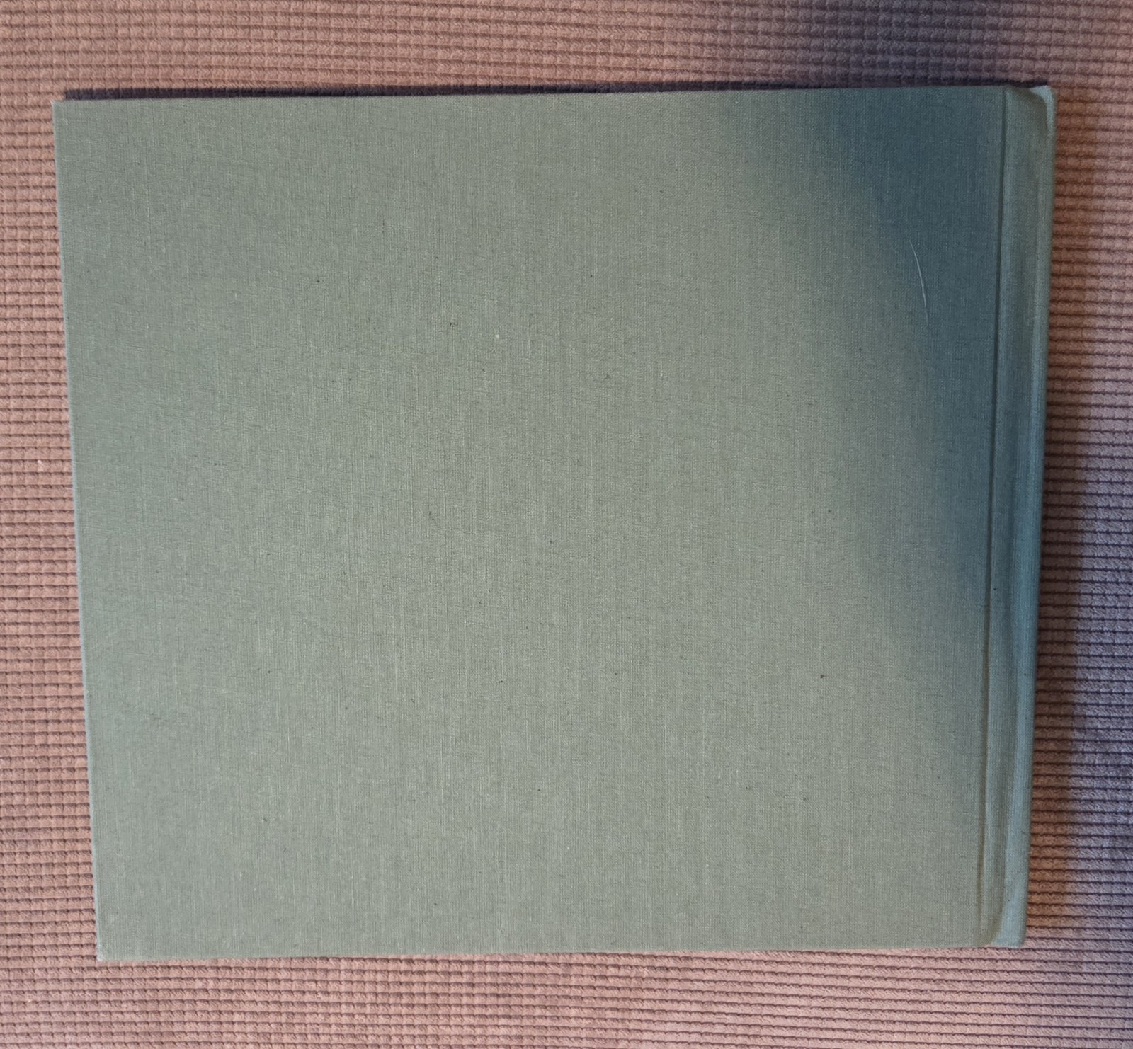 SIGNED JUMANJI by Chris Van Allsburg 1st Edition 1st Print 1981 Autographed 1992