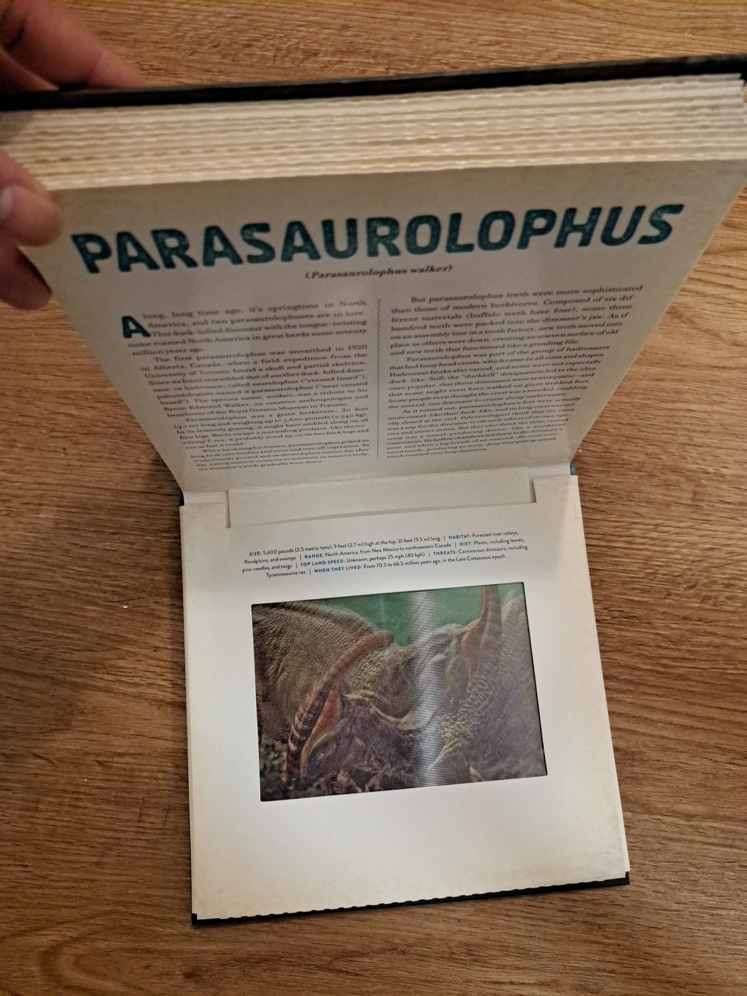 Dinosaur Photicular Hardcover Book Created By Dan Kainen & Kathy Wollard