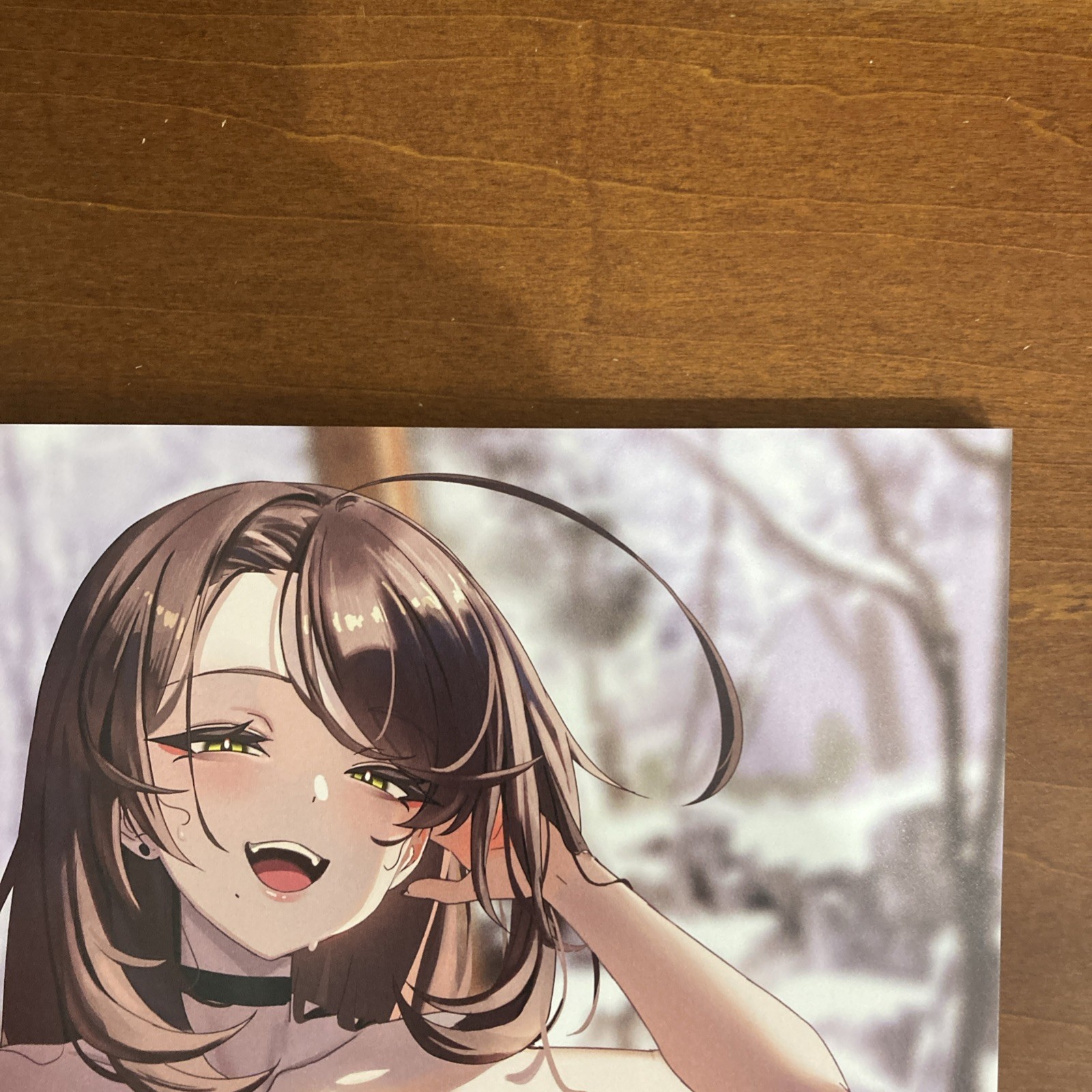 103+ Gloss by Melonbooks Girls Collection Winter 2023 Art Book Illustration
