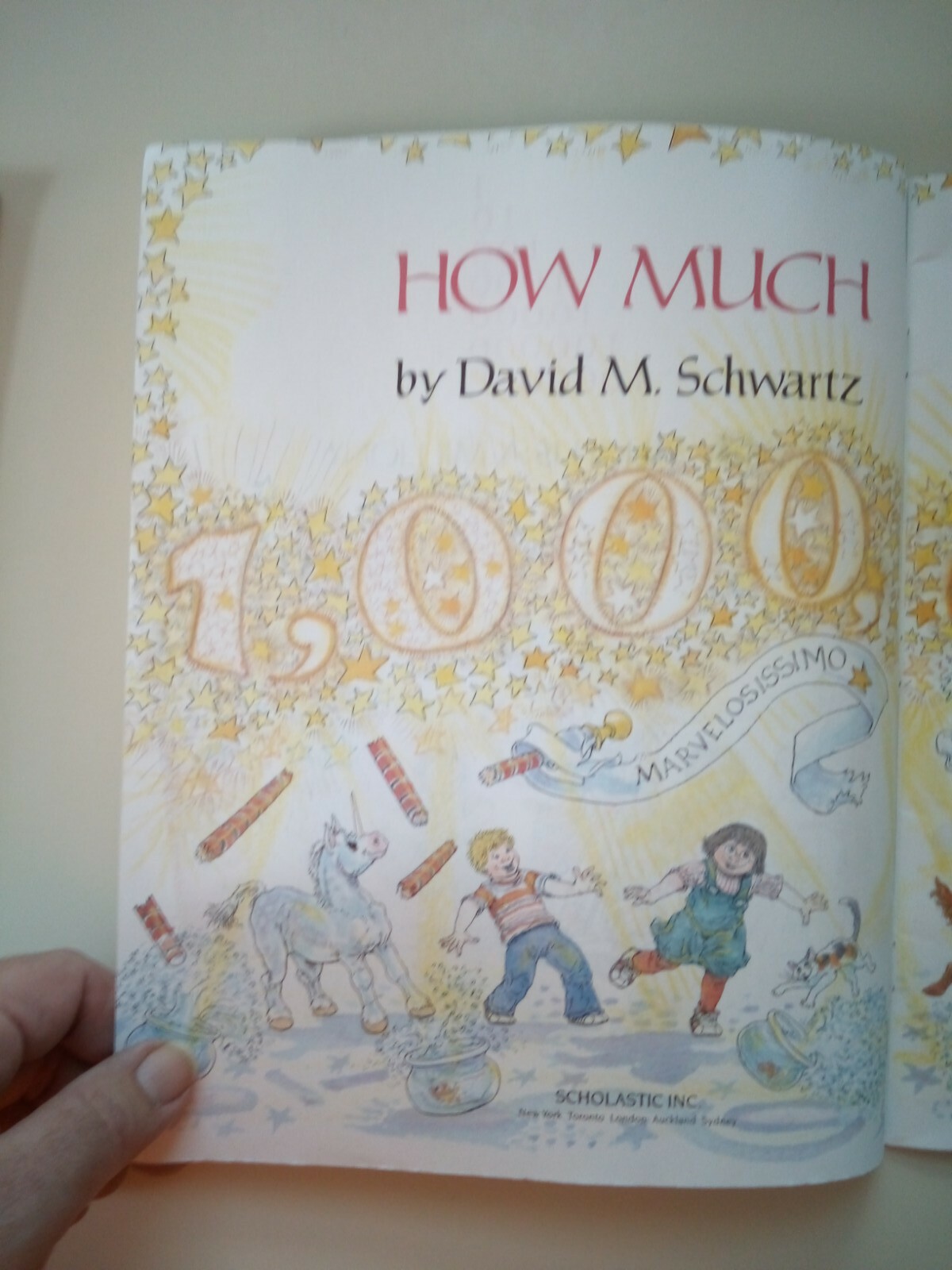 How Much Is A Million? By Schwartz 1985 Paperback