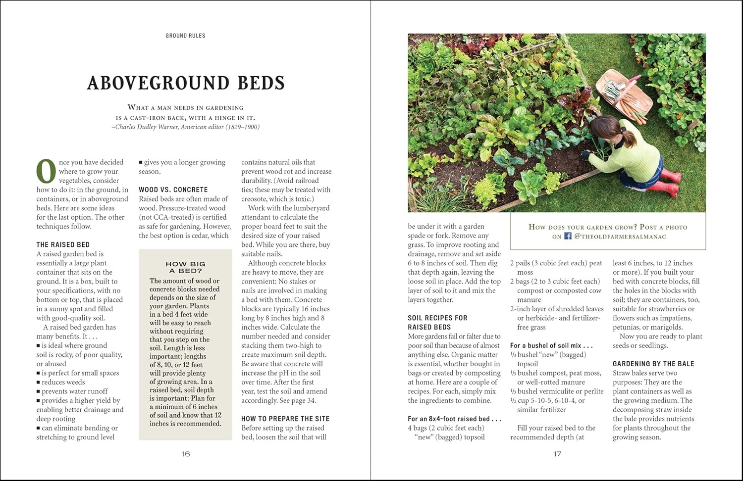 PLANTING VEGETABLE GARDENERS HANDBOOK Practical Gardening Tips Harvesting Guide