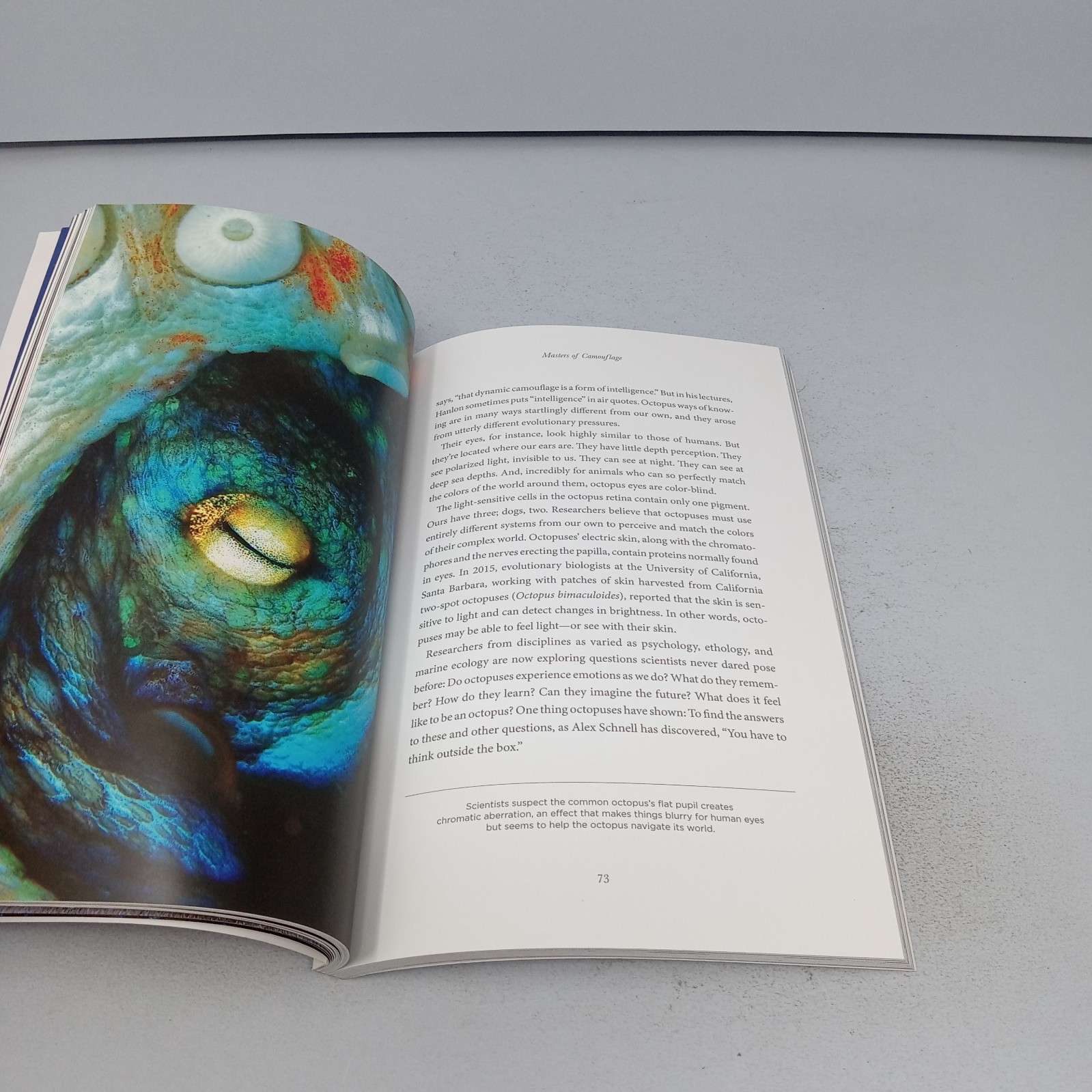 Secrets of the Octopus: 2024 National Geographic Paperback by Sy Montgomery
