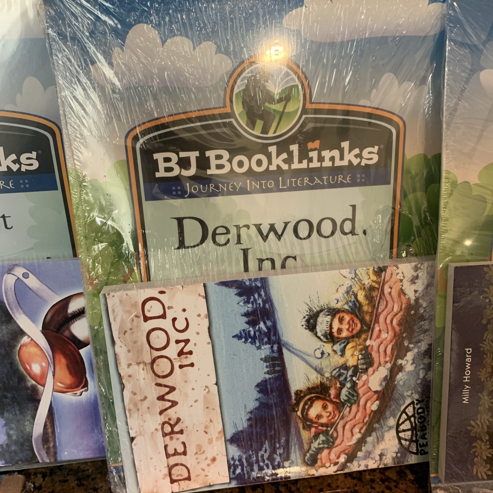 BJU BookLinks Looking For Home Golden Cowrie Derwood Inc Dog napped Cat 6 Total