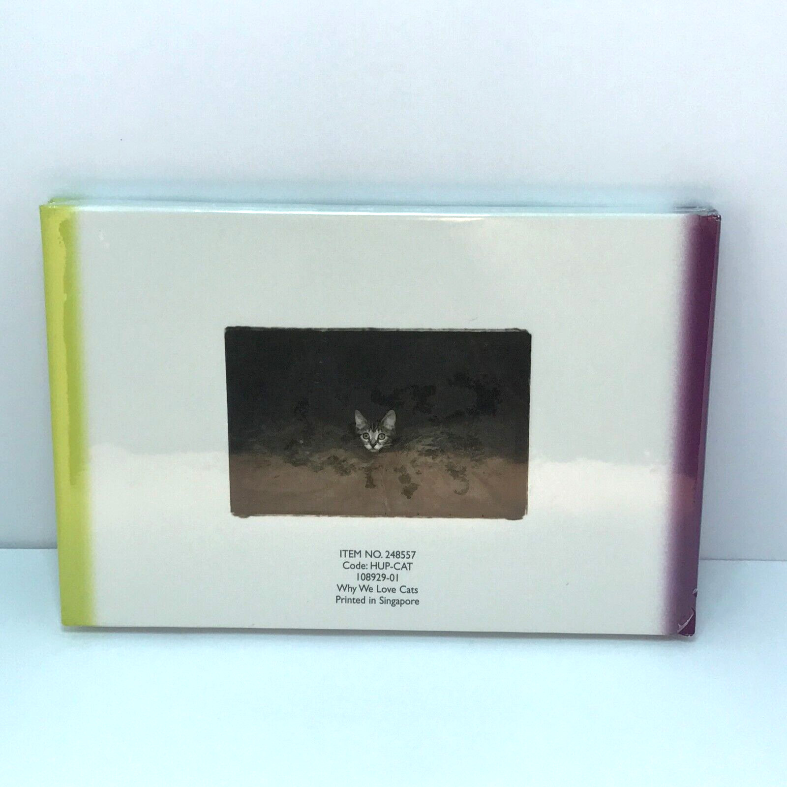 Why We Love Cats by Kim Levin. Kitty, Pets at Play, Best Friend Furry and Fluffy