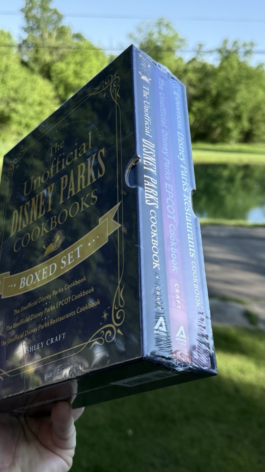 The Unofficial Disney Parks Cookbooks Boxed Set: The Unofficial Disney Parks