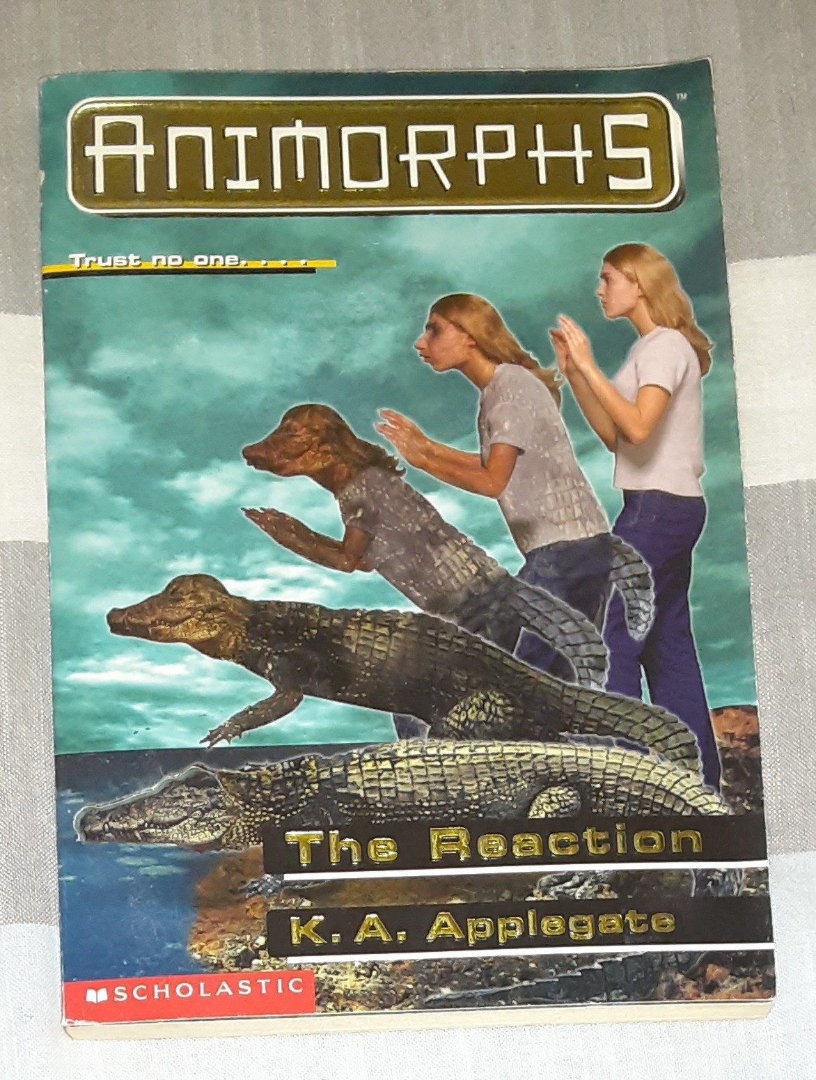 Animorphs Book Lot of 21 (K.A. Applegate, Paperback)