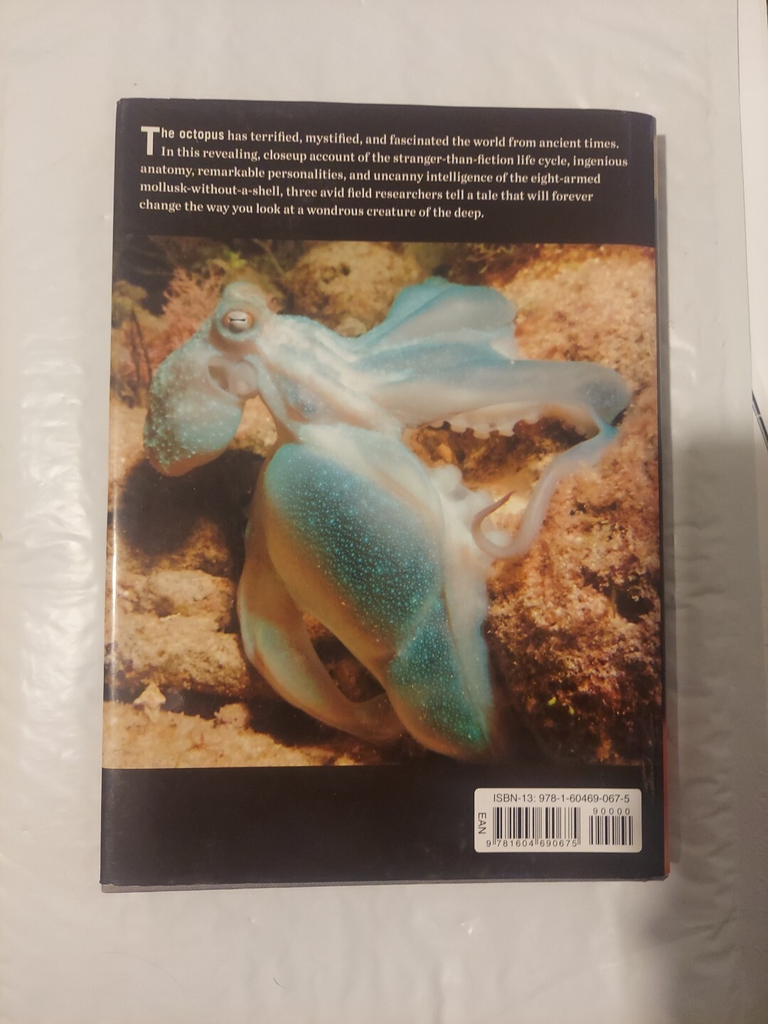 Octopus: The Ocean’s Intelligent Invertebrate – Hardcover – GOOD