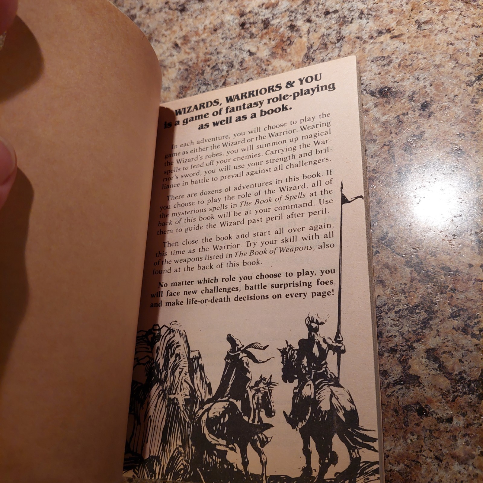 Wizards, Warriors & You #5 The Haunted Castle of Ravencurse CYOA Gamebook 1985