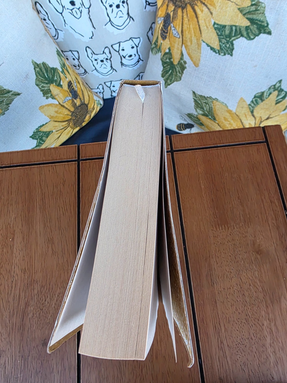 The Holy Bible King James Version white cover